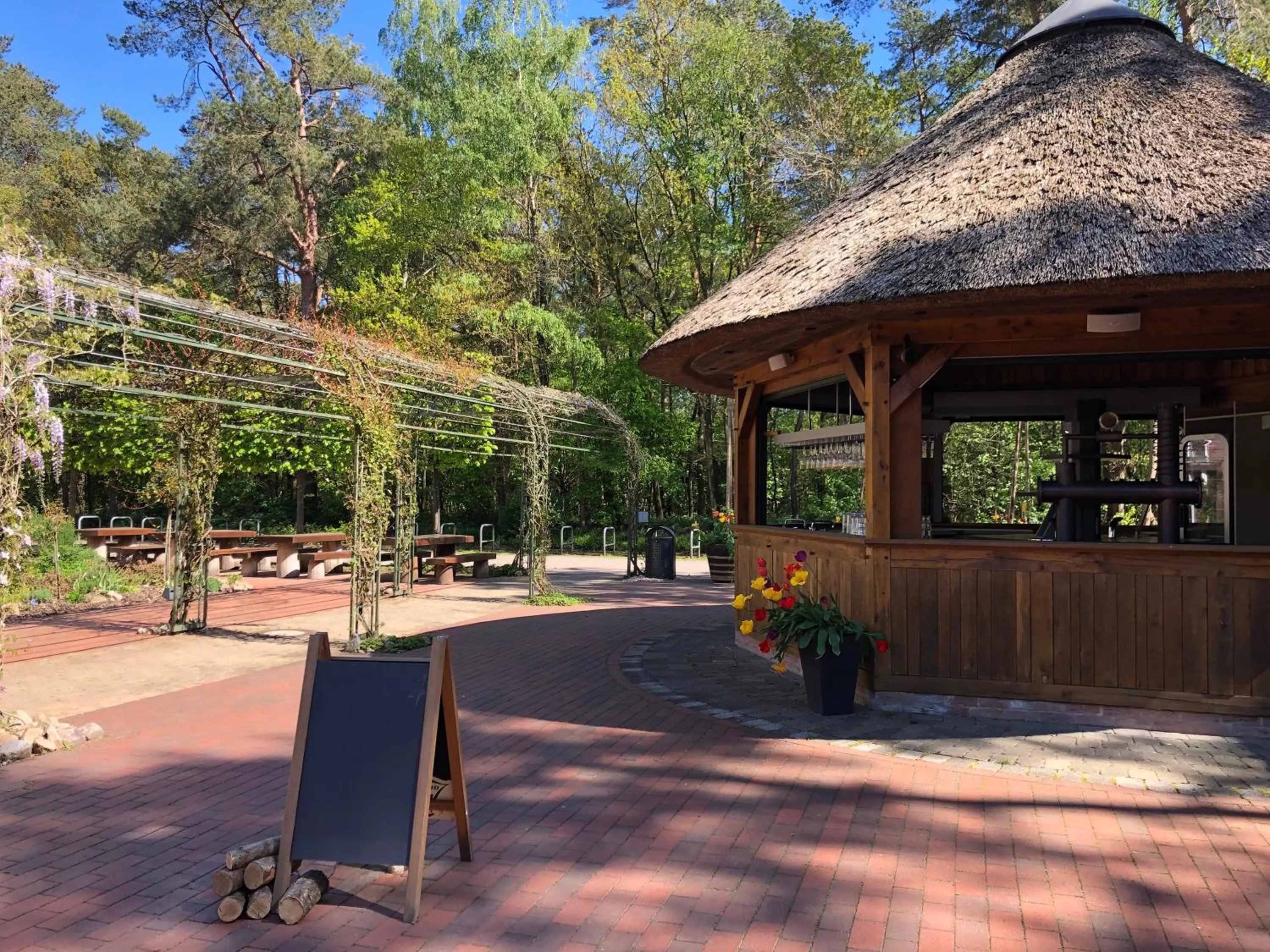 Garden in Hotel Heidegrund