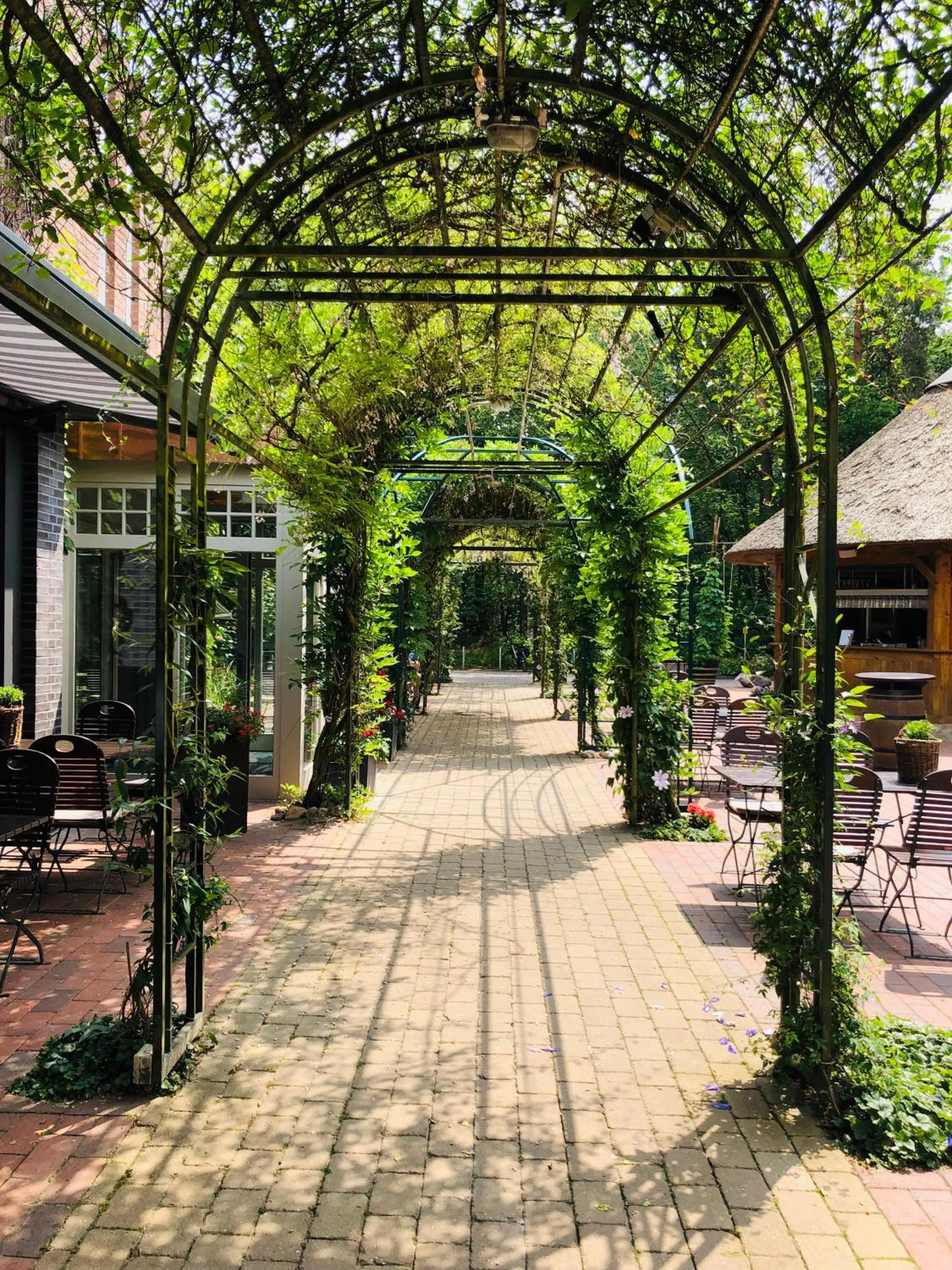 Restaurant/places to eat in Hotel Heidegrund