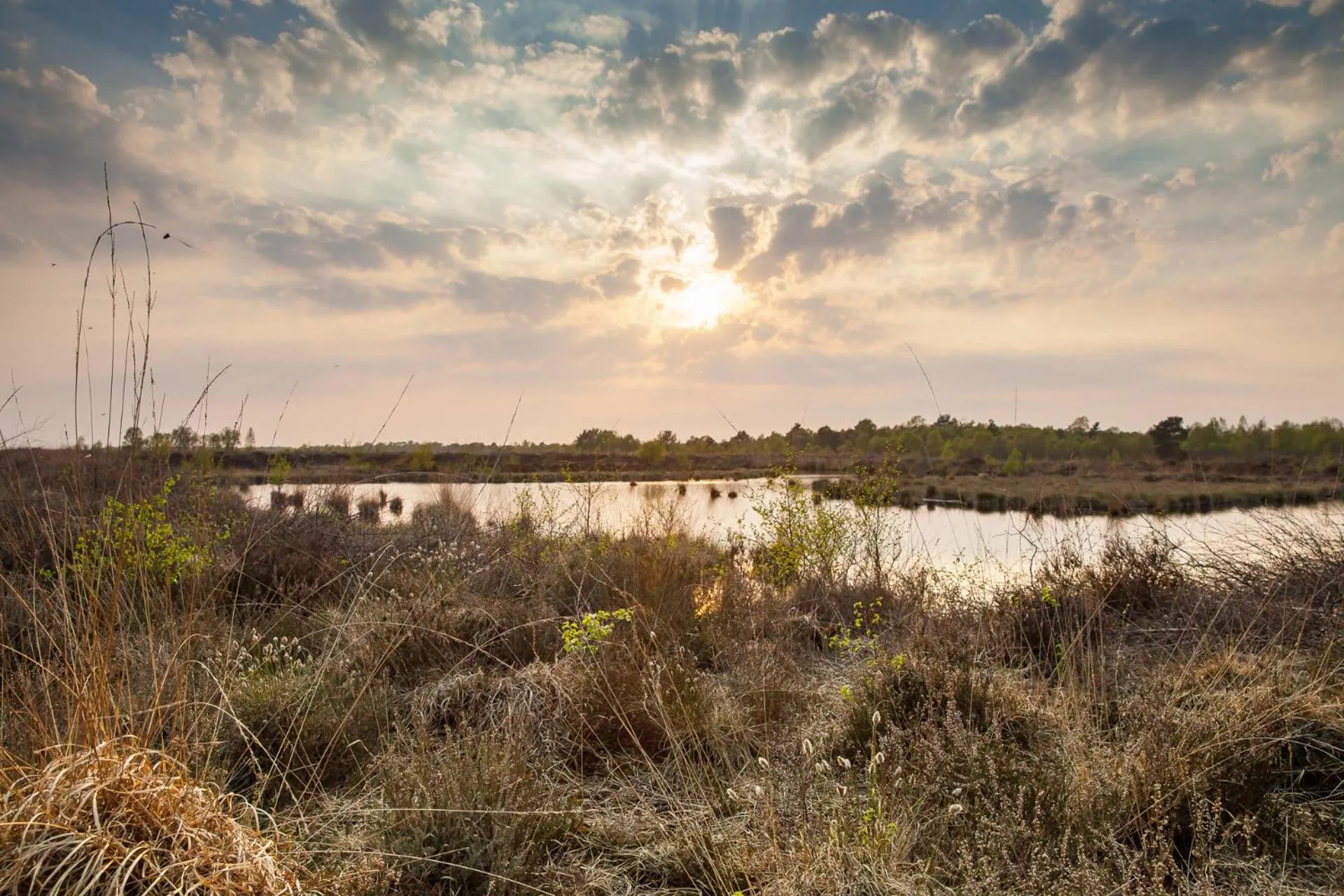 Nearby landmark in Hotel Heidegrund