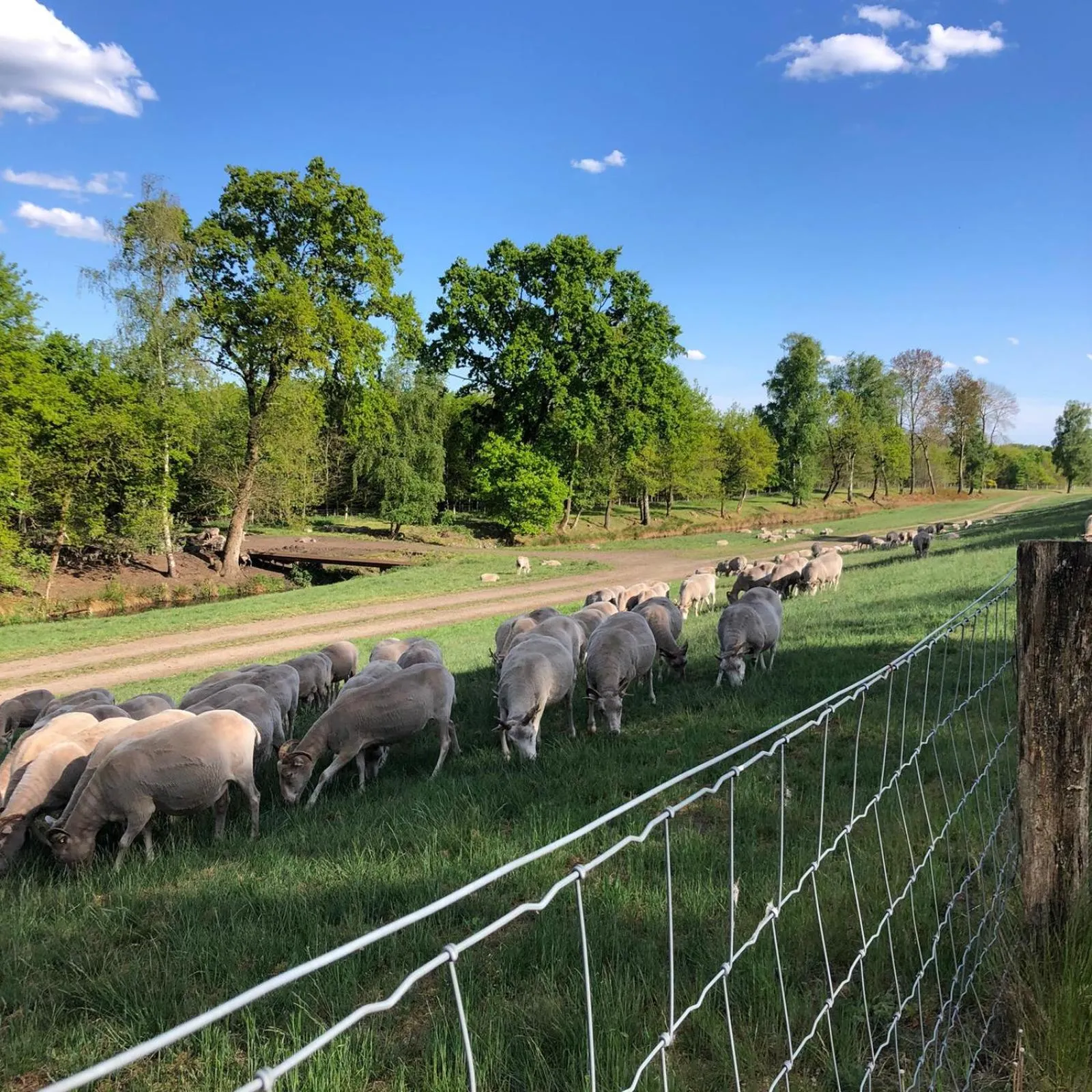 Natural landscape in Hotel Heidegrund