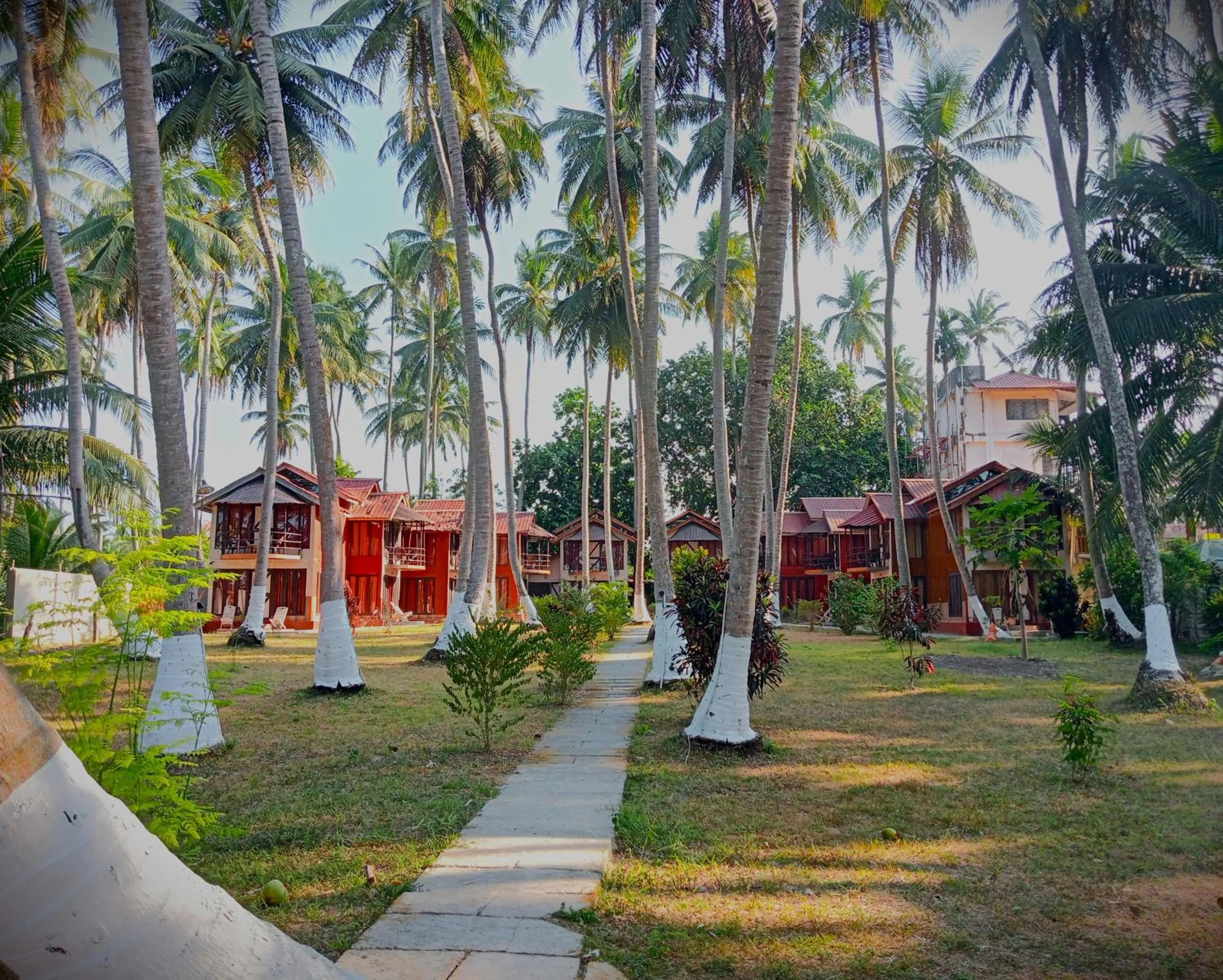 Garden in The Kingdom, Havelock