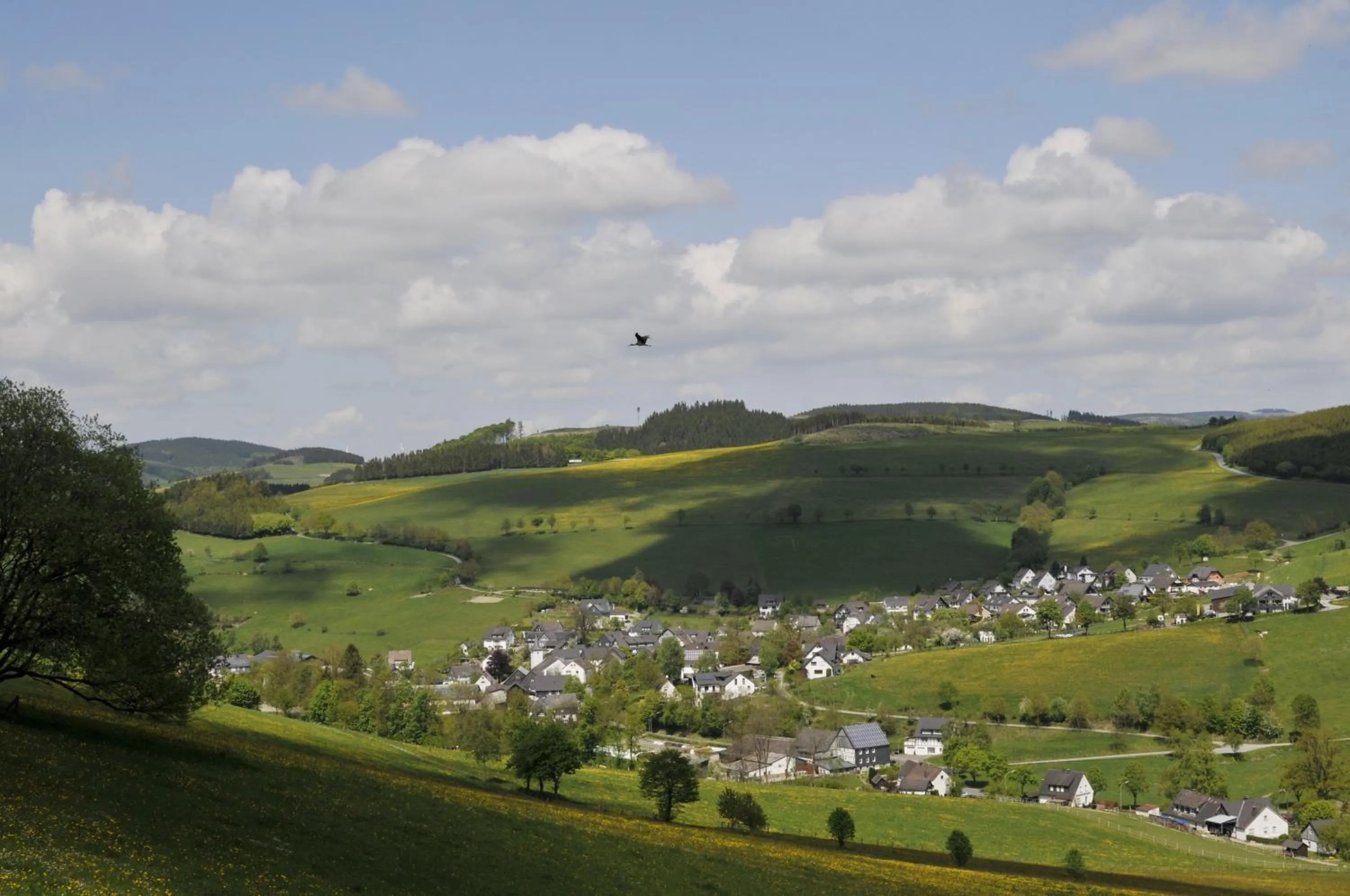 Bird's eye view in Wüllner's Landgasthof