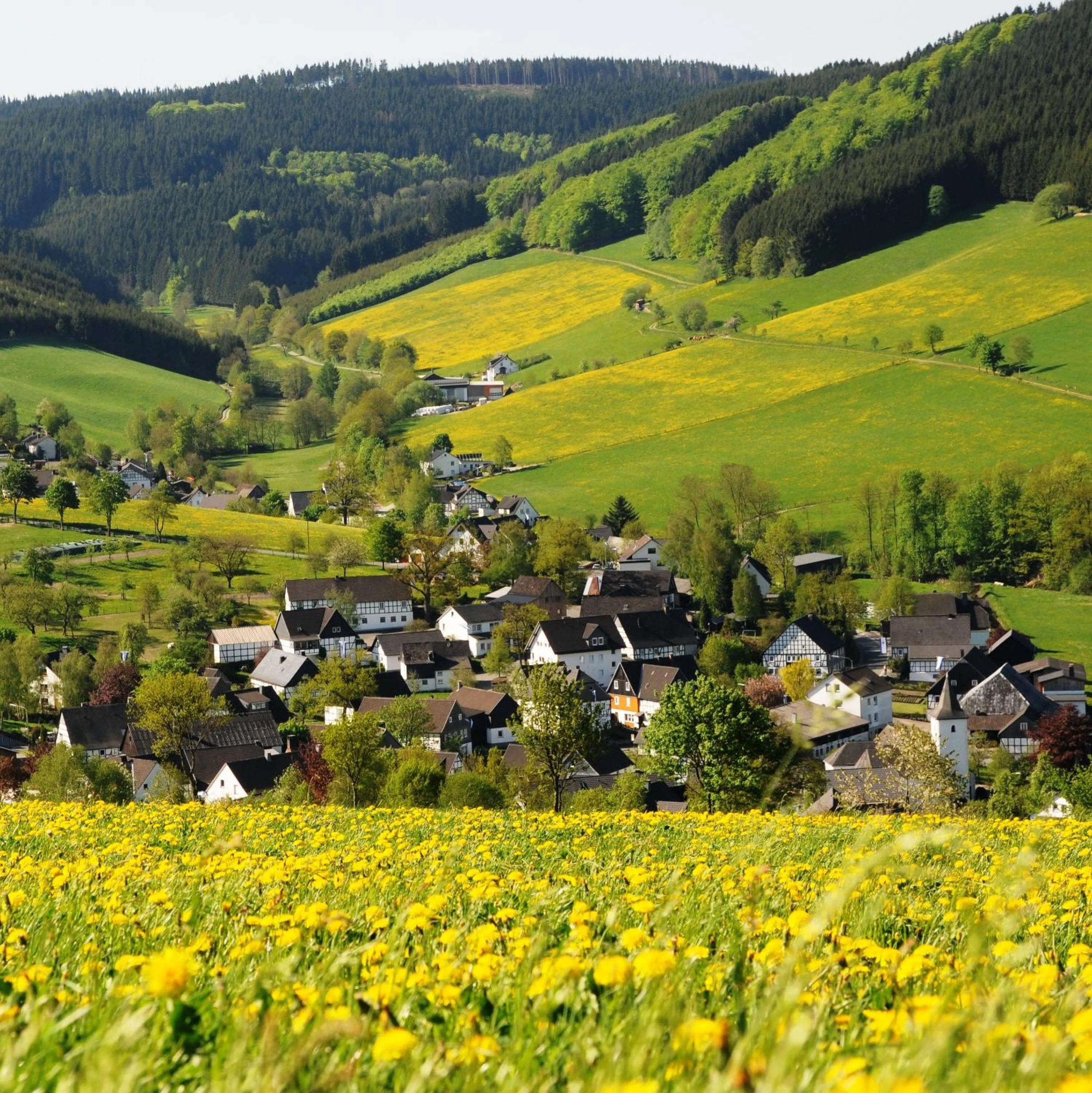 Natural landscape in Wüllner's Landgasthof