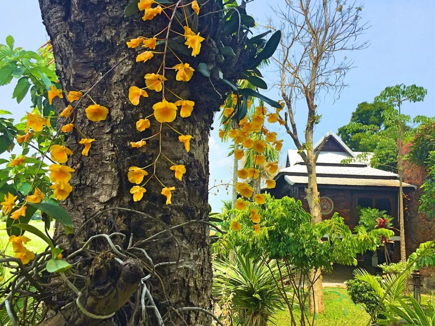 Property building in Bantunglom Resort