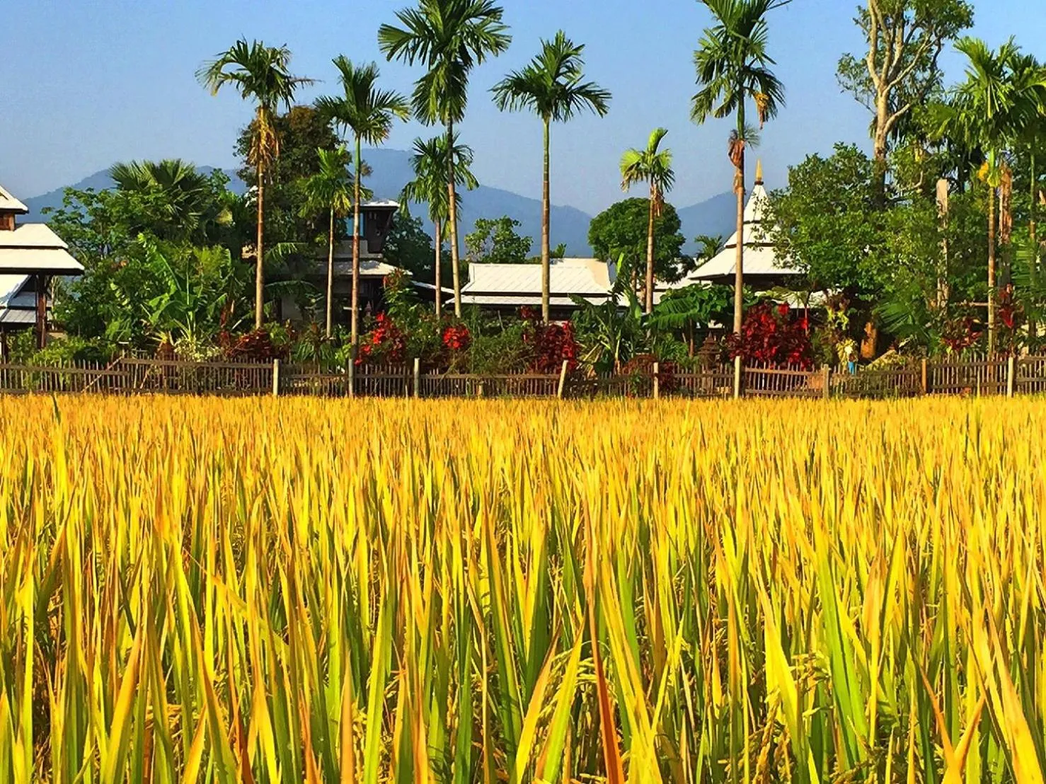 Property building in Bantunglom Resort