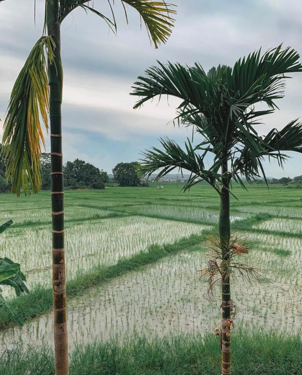 Natural landscape in Bantunglom Resort