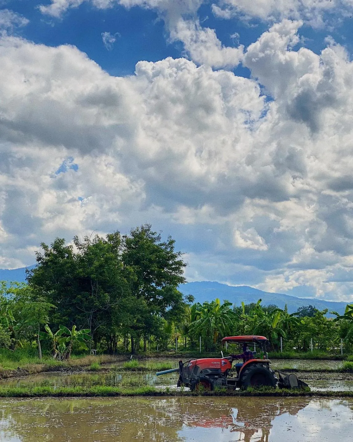 Natural landscape in Bantunglom Resort