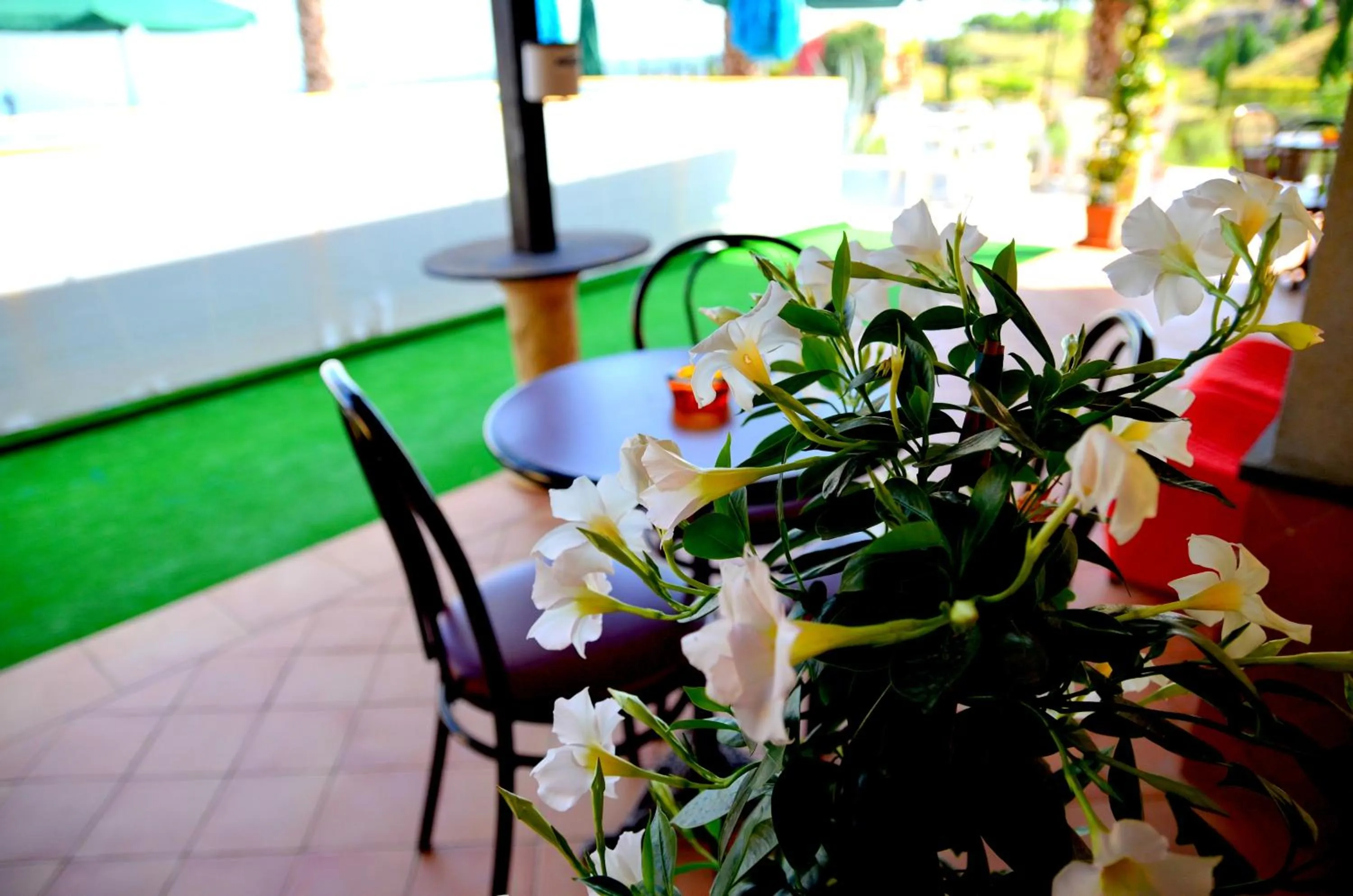 Pool view in La Casa del Melograno