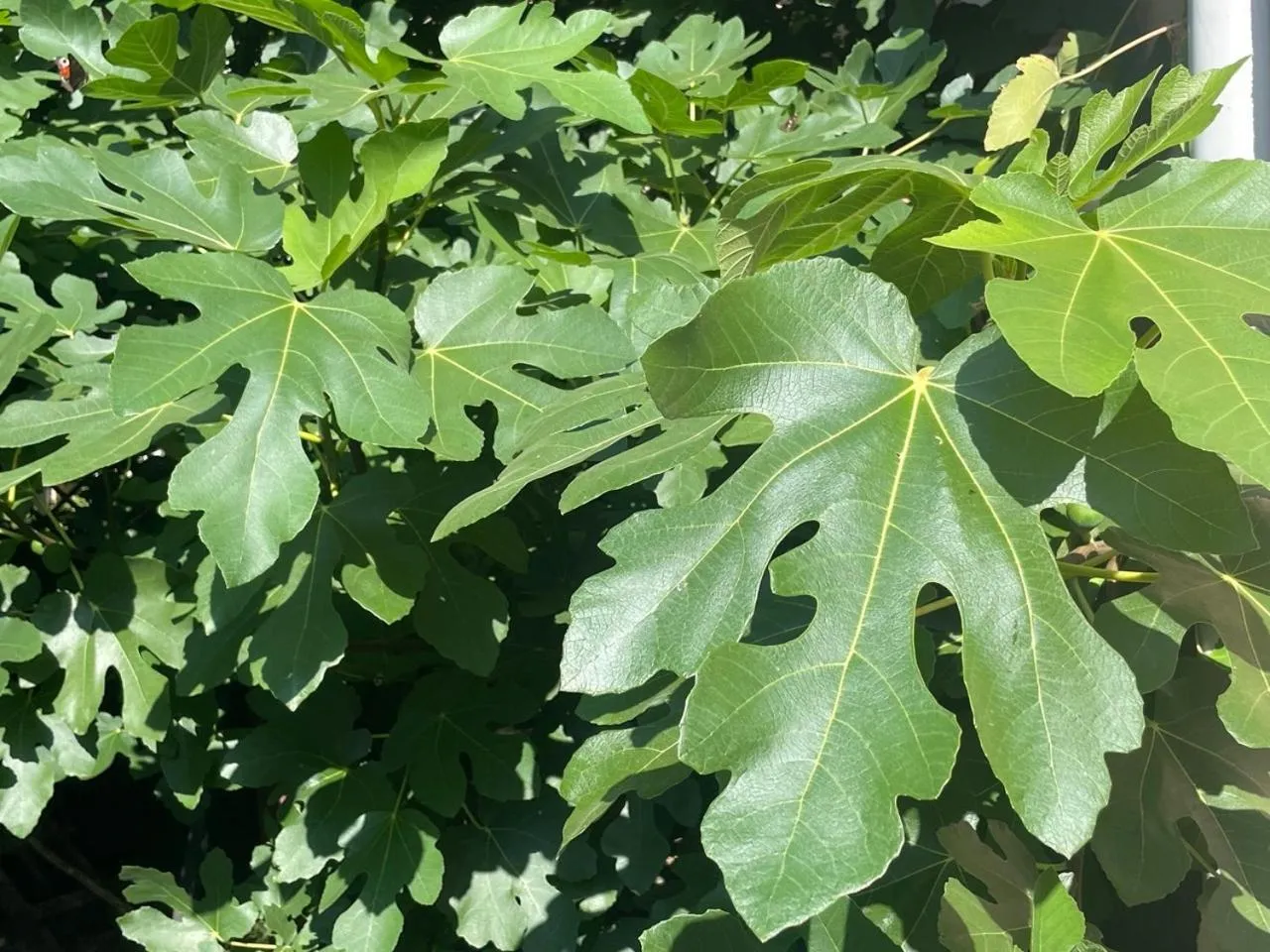 Property building in Hotel Bończa