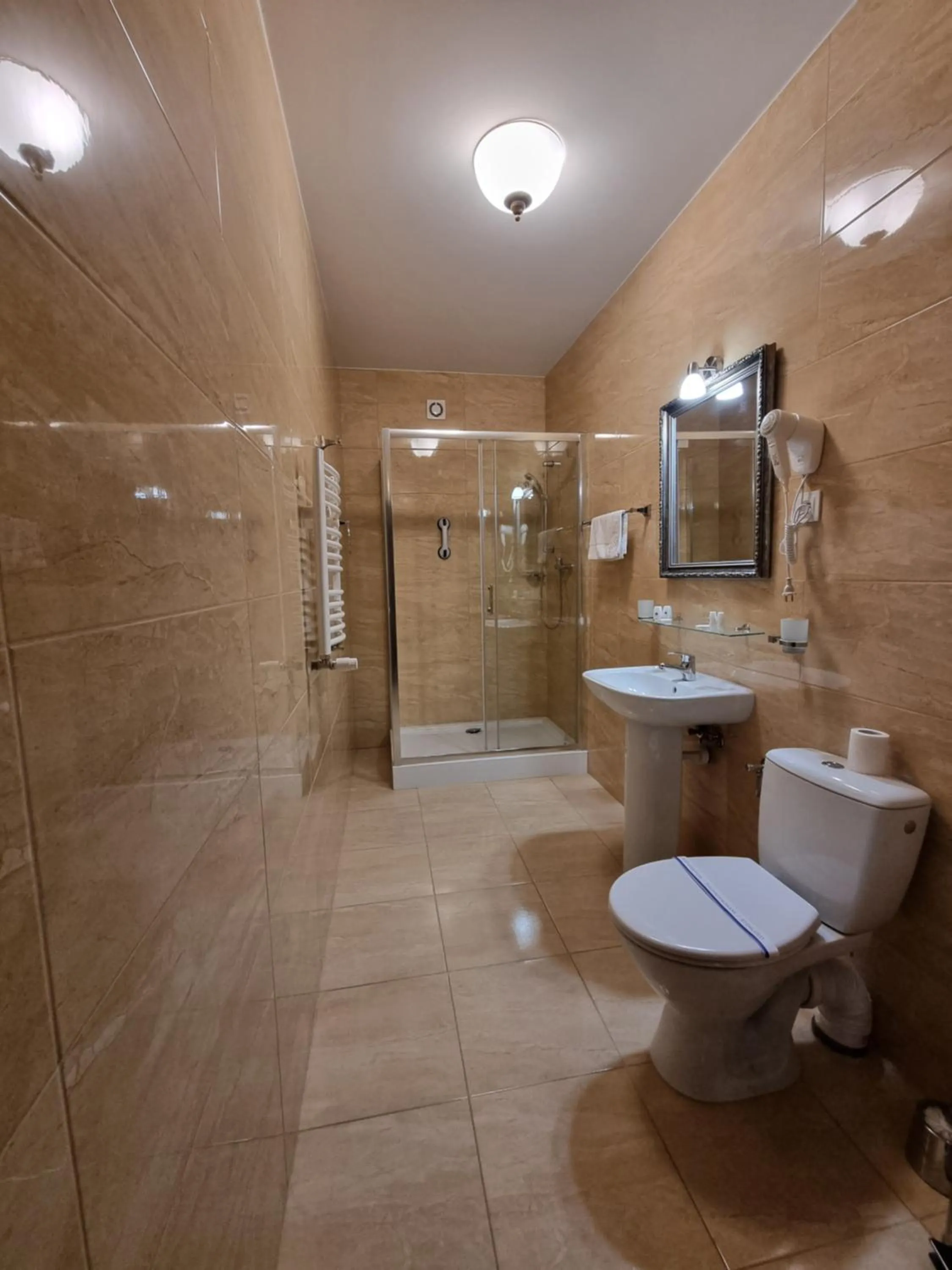 Shower in Hotel Bończa