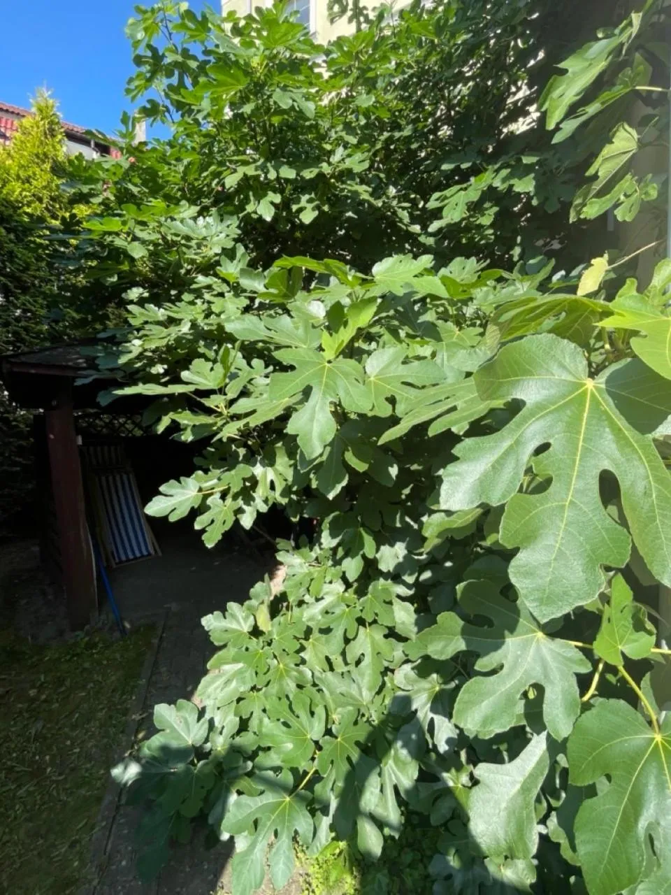 Day in Hotel Bończa