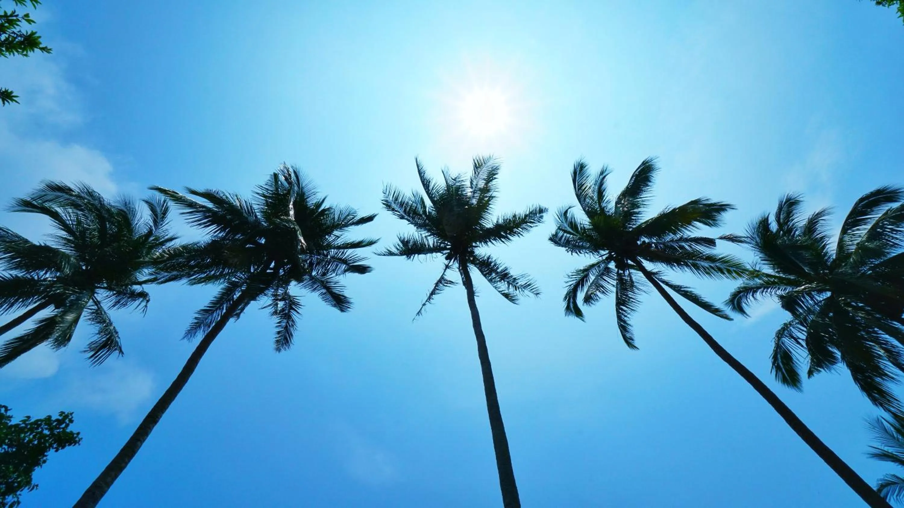 Natural landscape in Noni's Resort