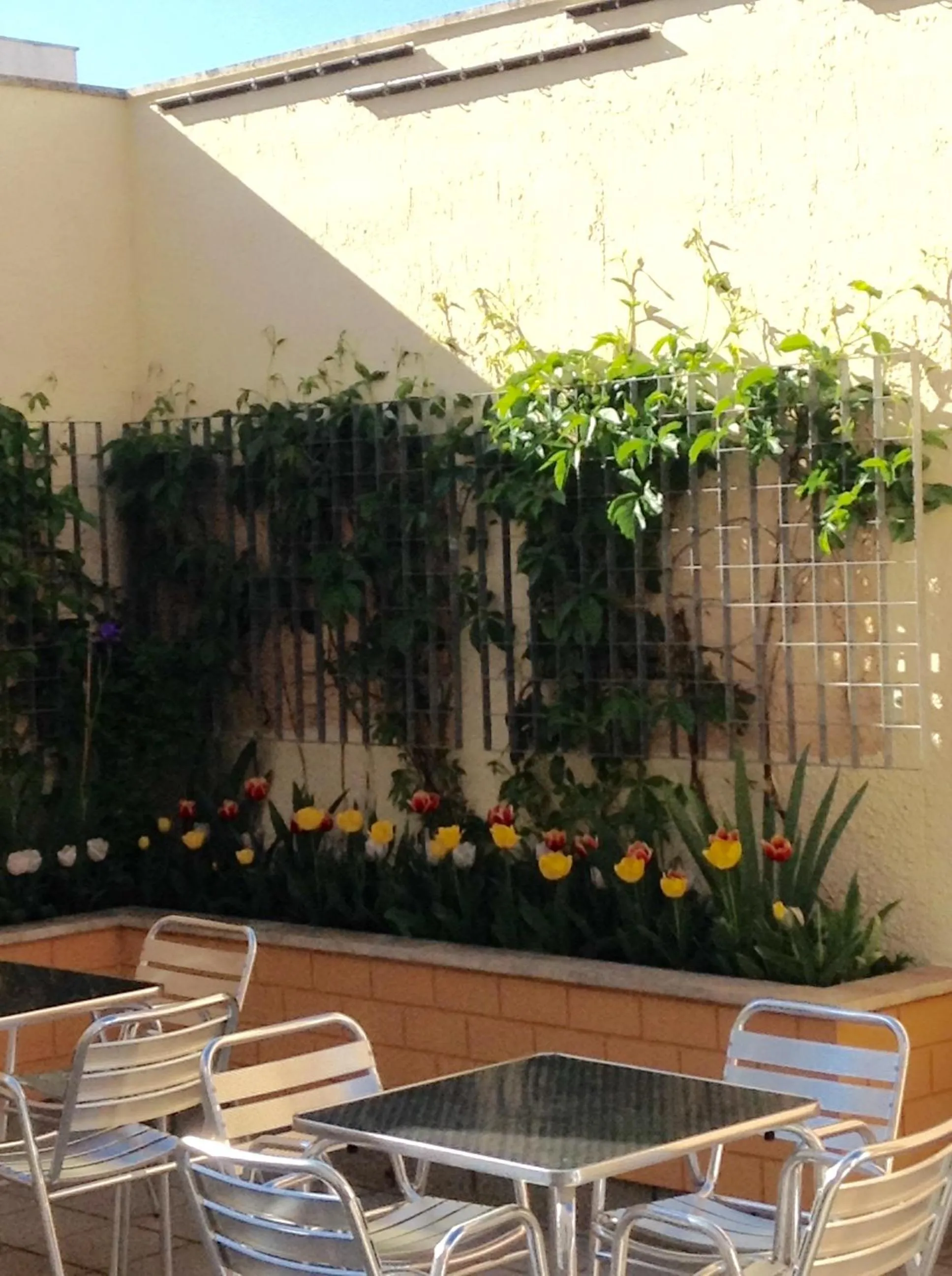 Patio in Hotel Central