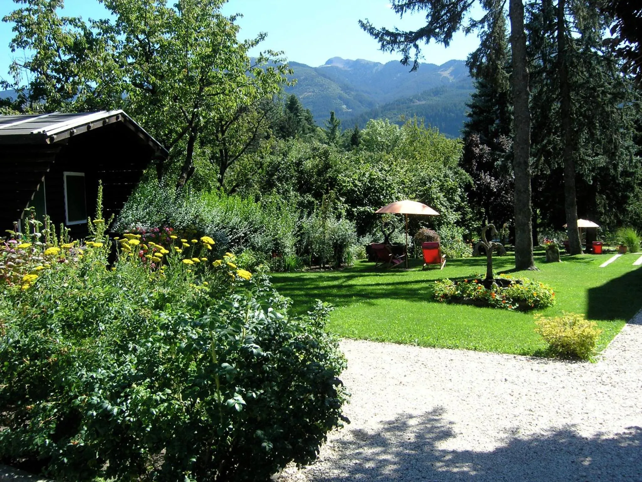 Garden in Azalea Park Hotel
