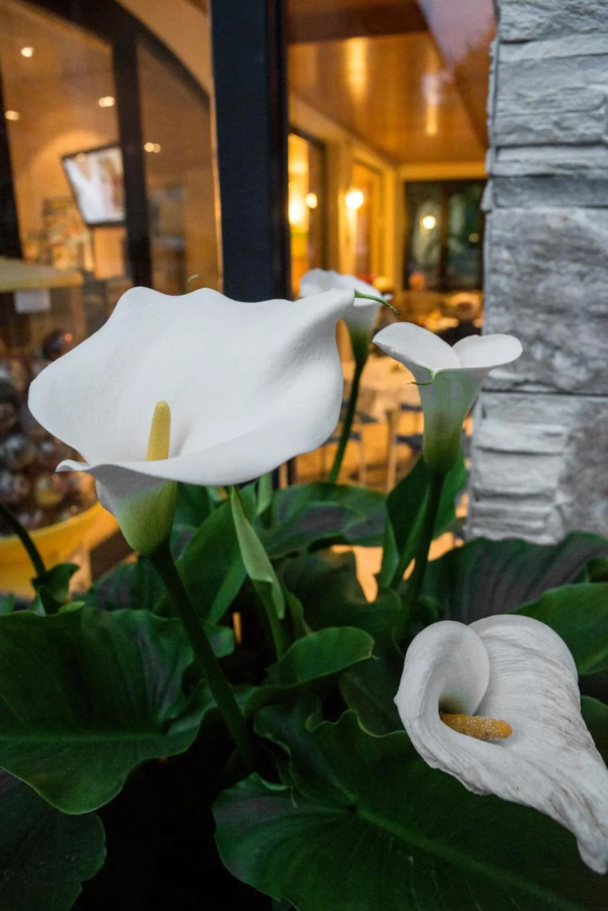 Other in Hotel Fiordaliso