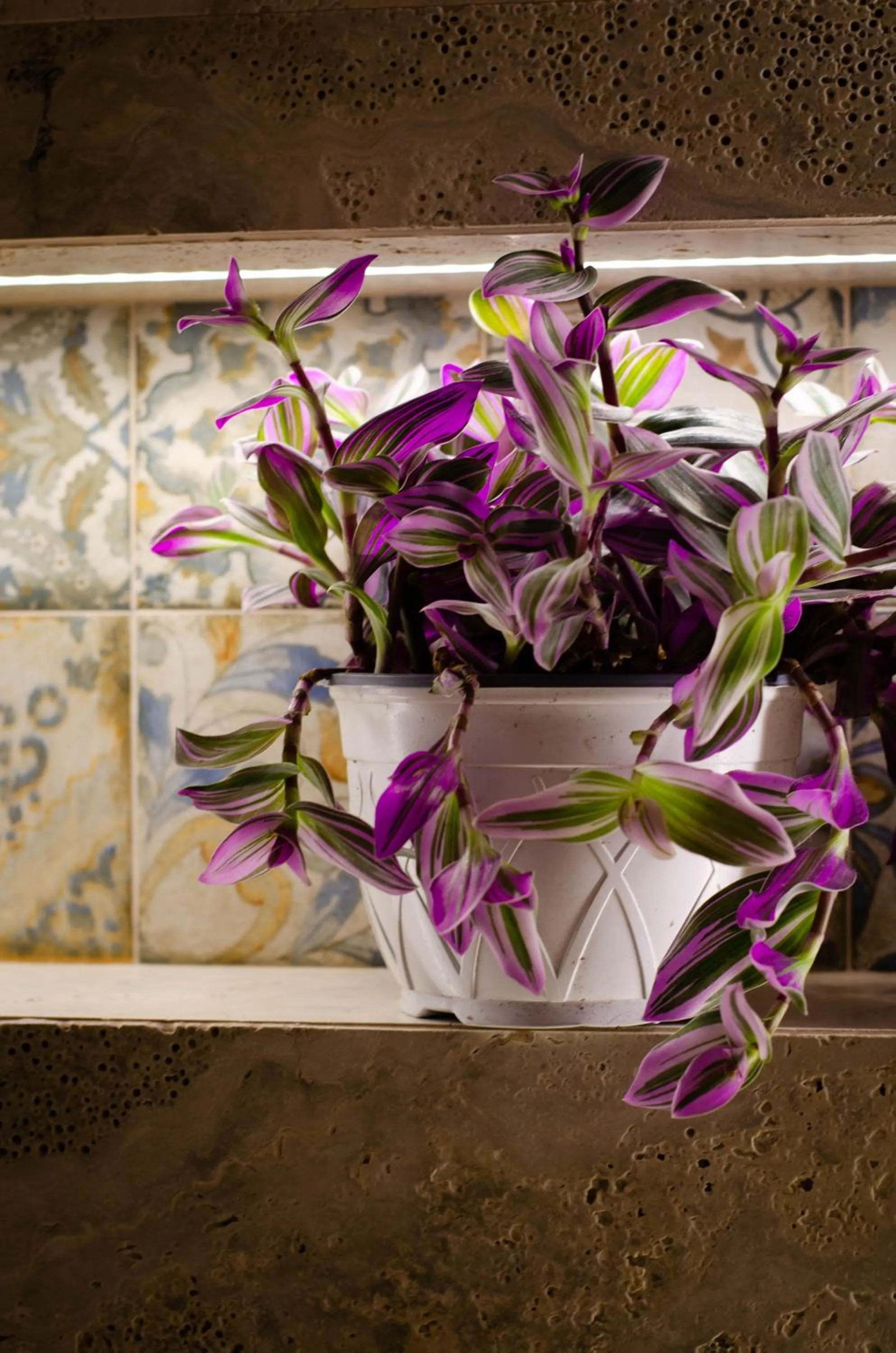 Decorative detail in Dimora Dell'Erbe Rooms