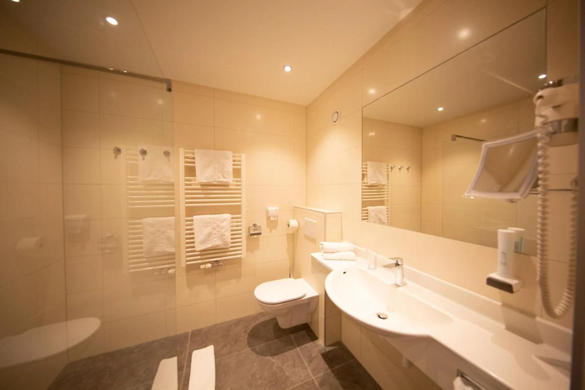 Toilet in Felsners Hotel & Restaurant