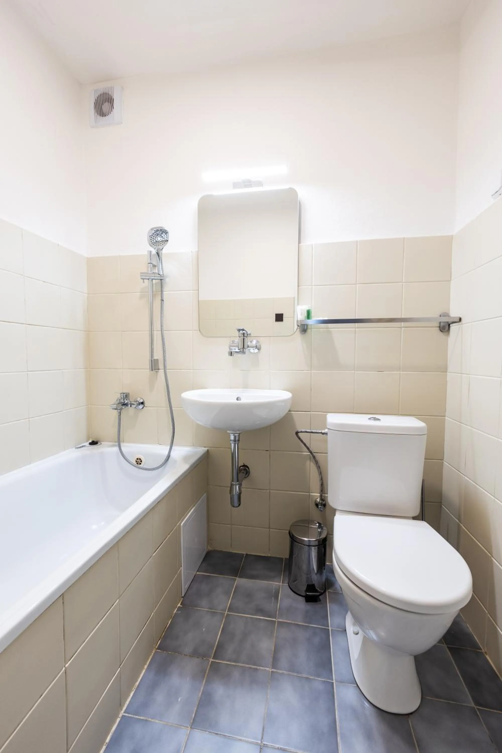 Bathroom in Hotel Petrovy kameny