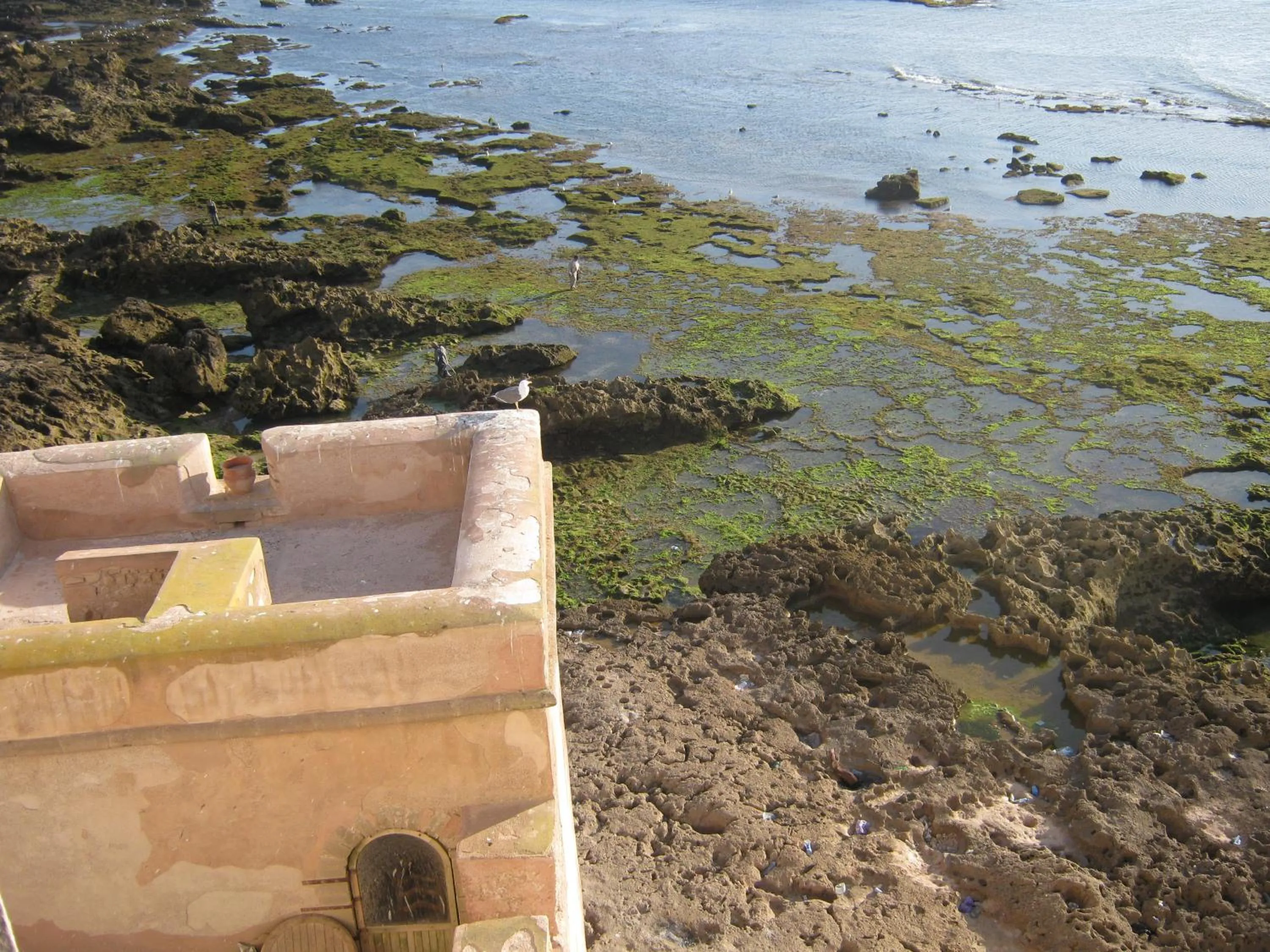 Day in Dar Ayour appartements