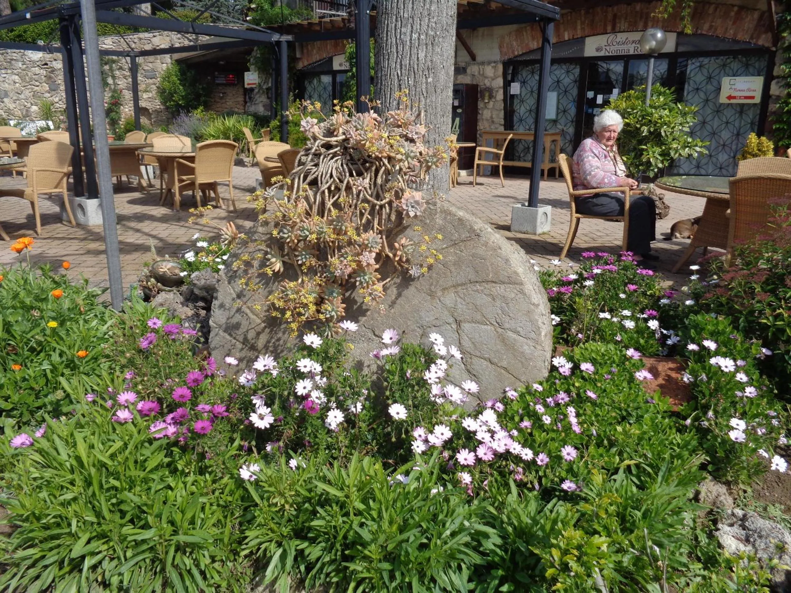 Spring in Hotel Rosati