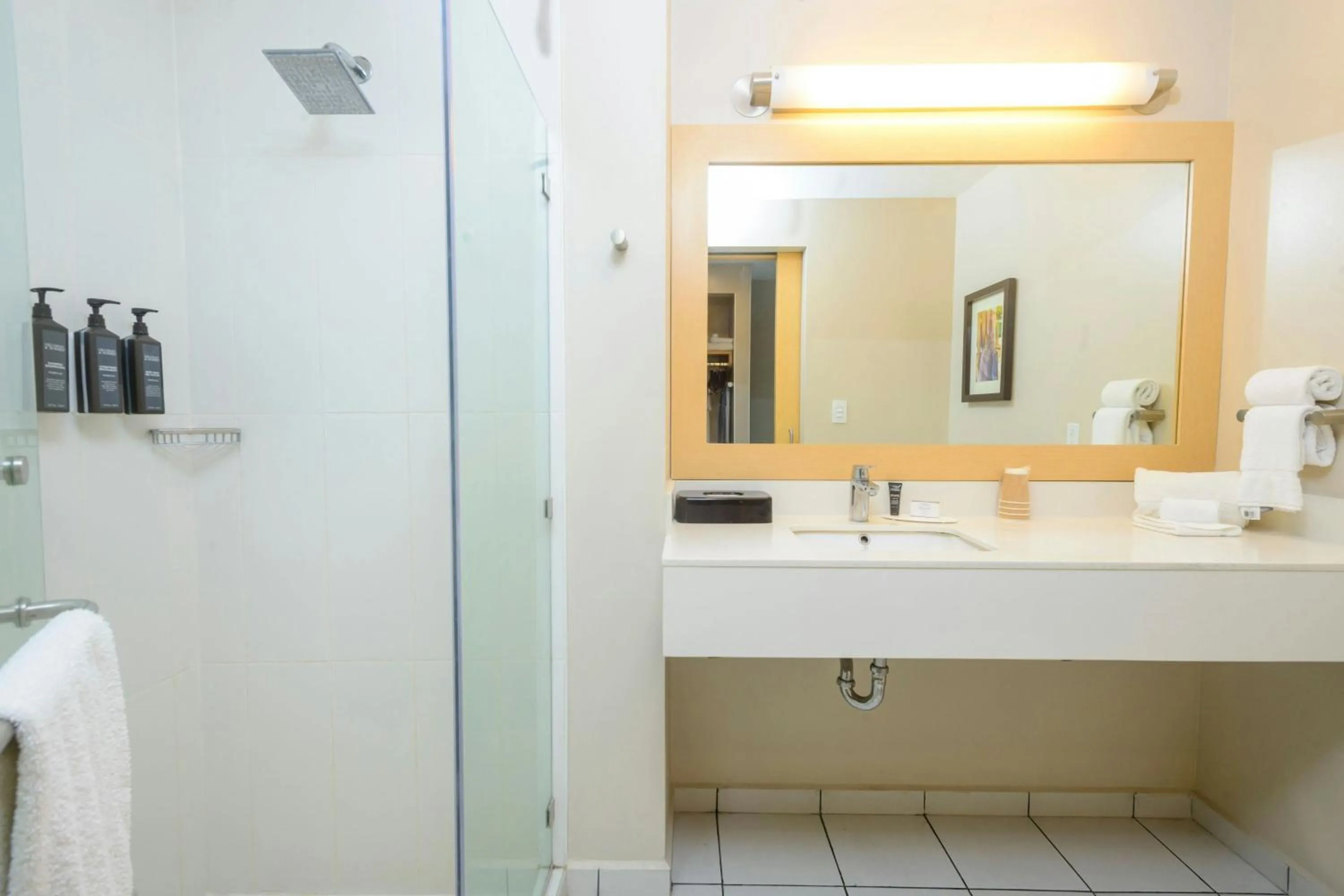 Bathroom in Fairfield by Marriott San Salvador