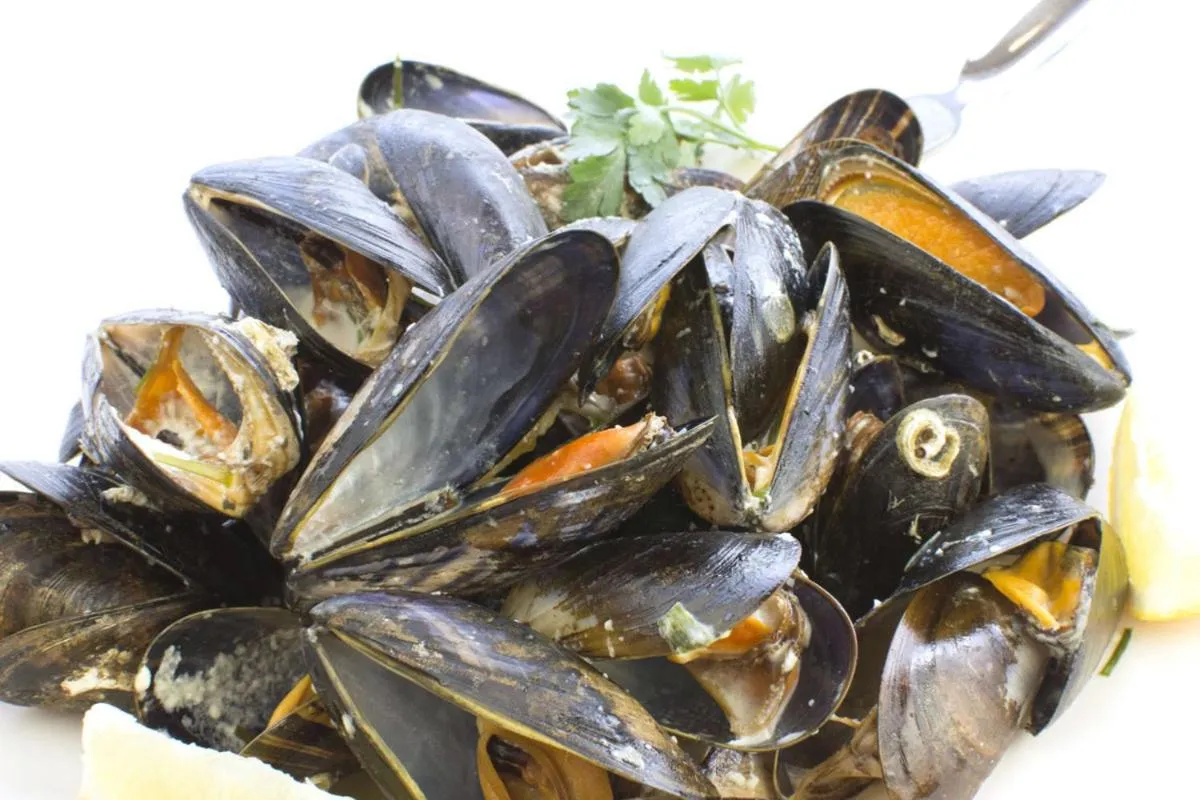 Restaurant/places to eat in Achill Cliff House Hotel & Restaurant