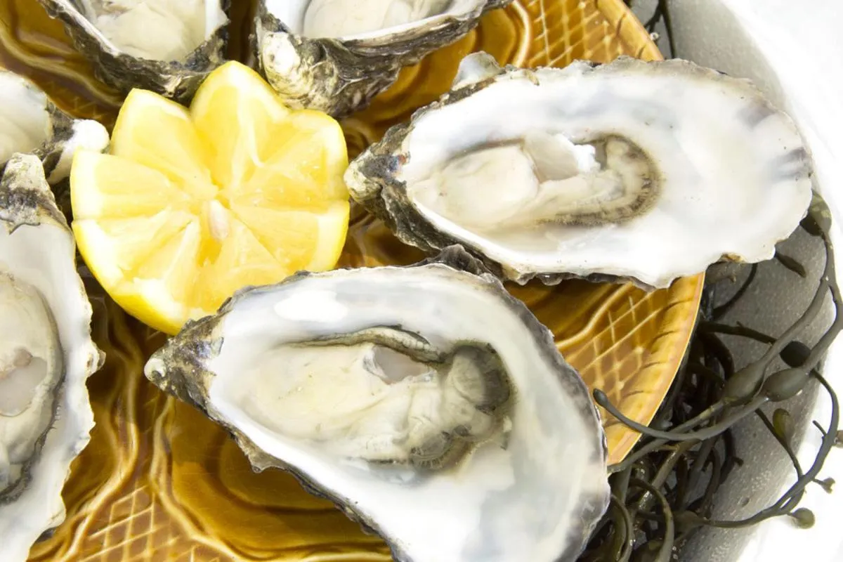 Restaurant/places to eat in Achill Cliff House Hotel & Restaurant