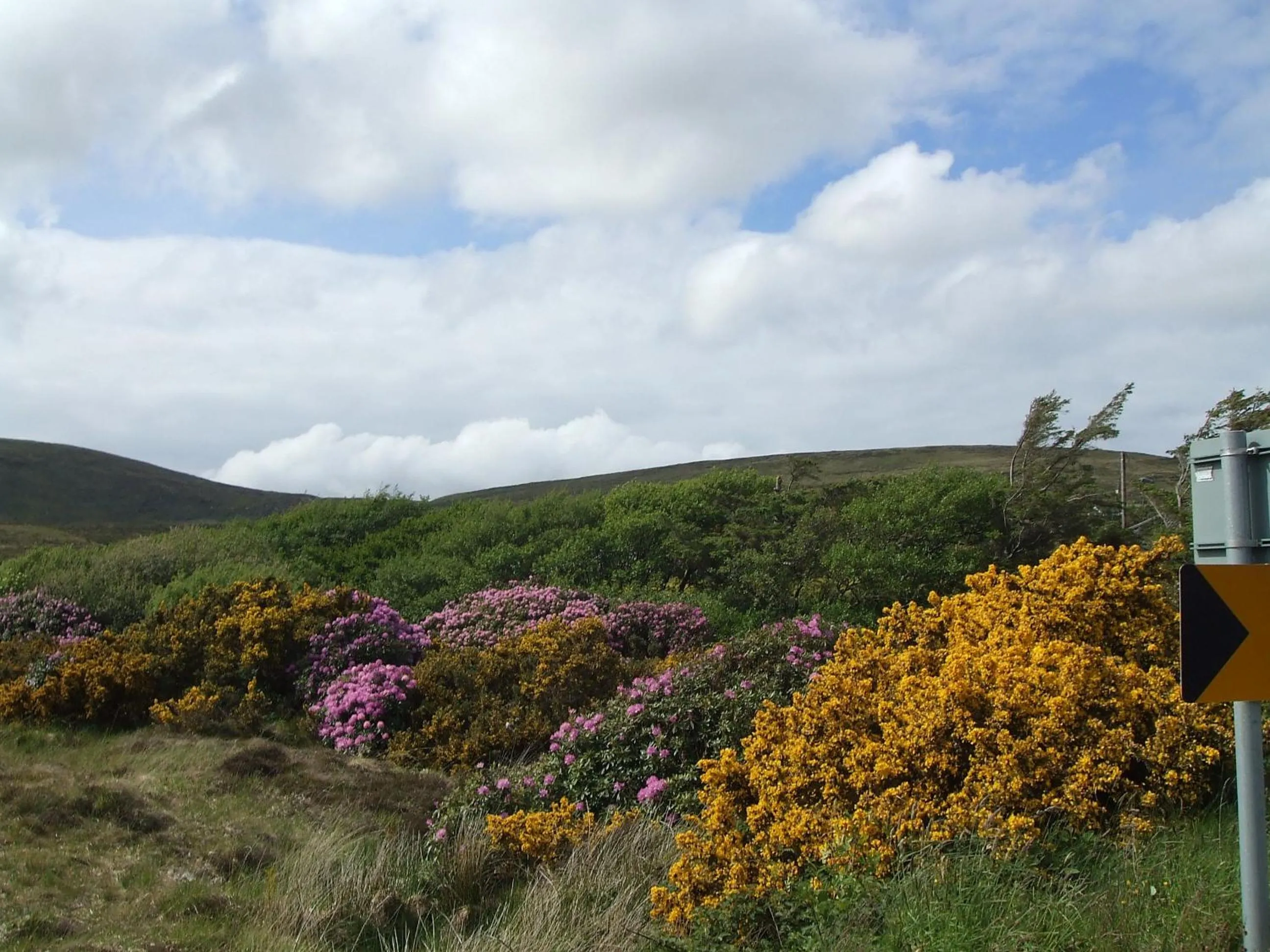 Natural landscape in Achill Cliff House Hotel & Restaurant
