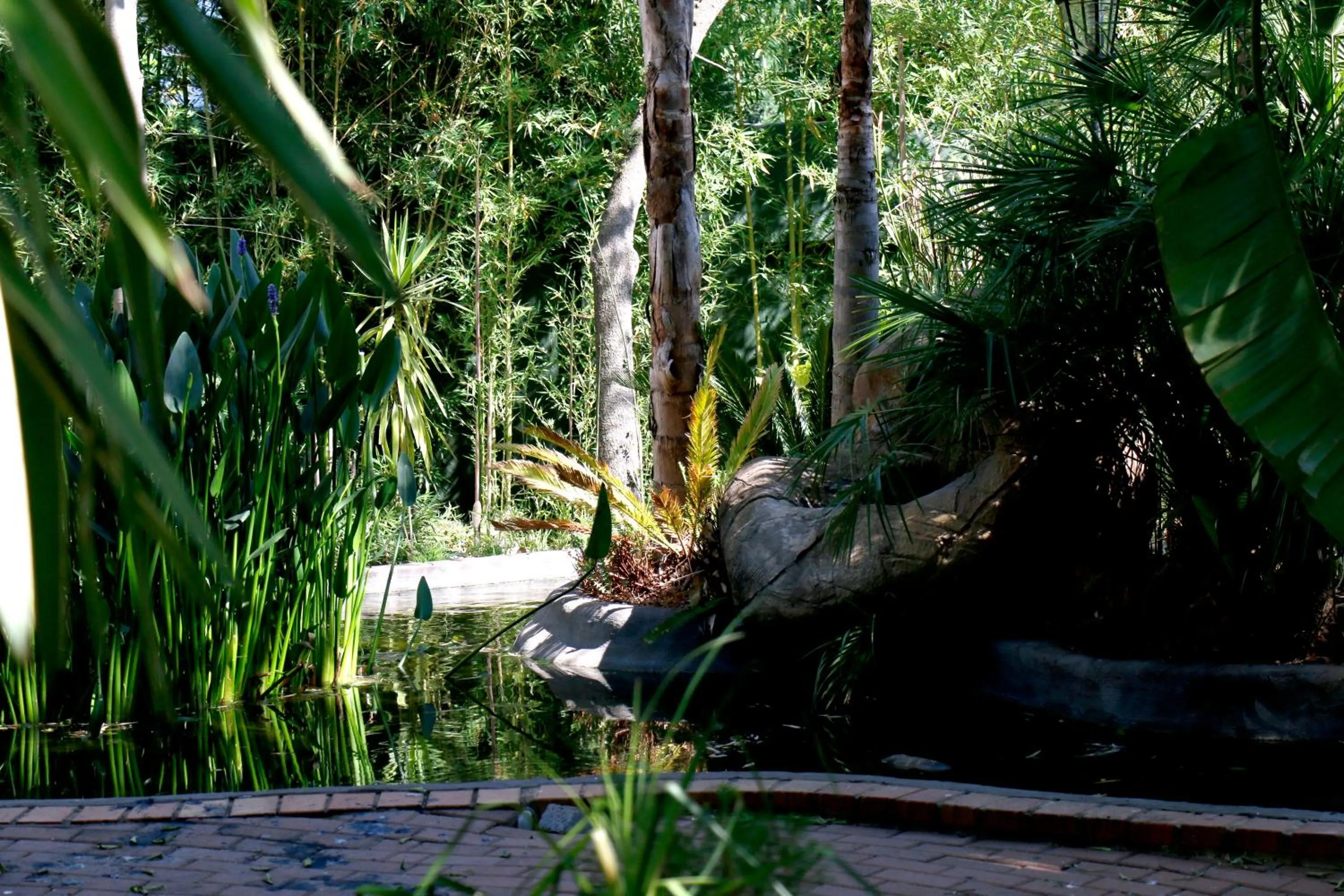 Garden in Summerview Guest Lodge