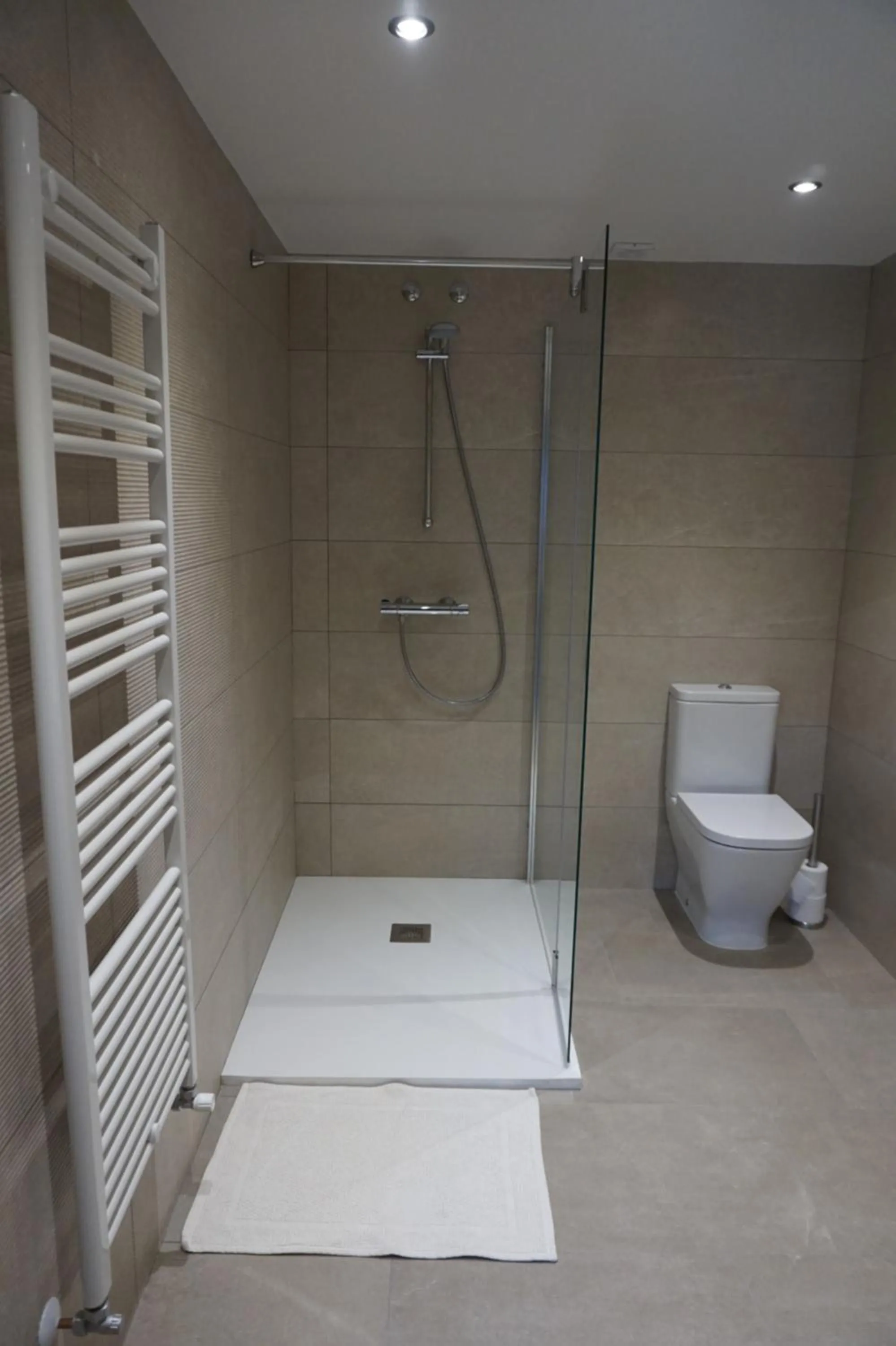 Bathroom in Arganzón Plaza