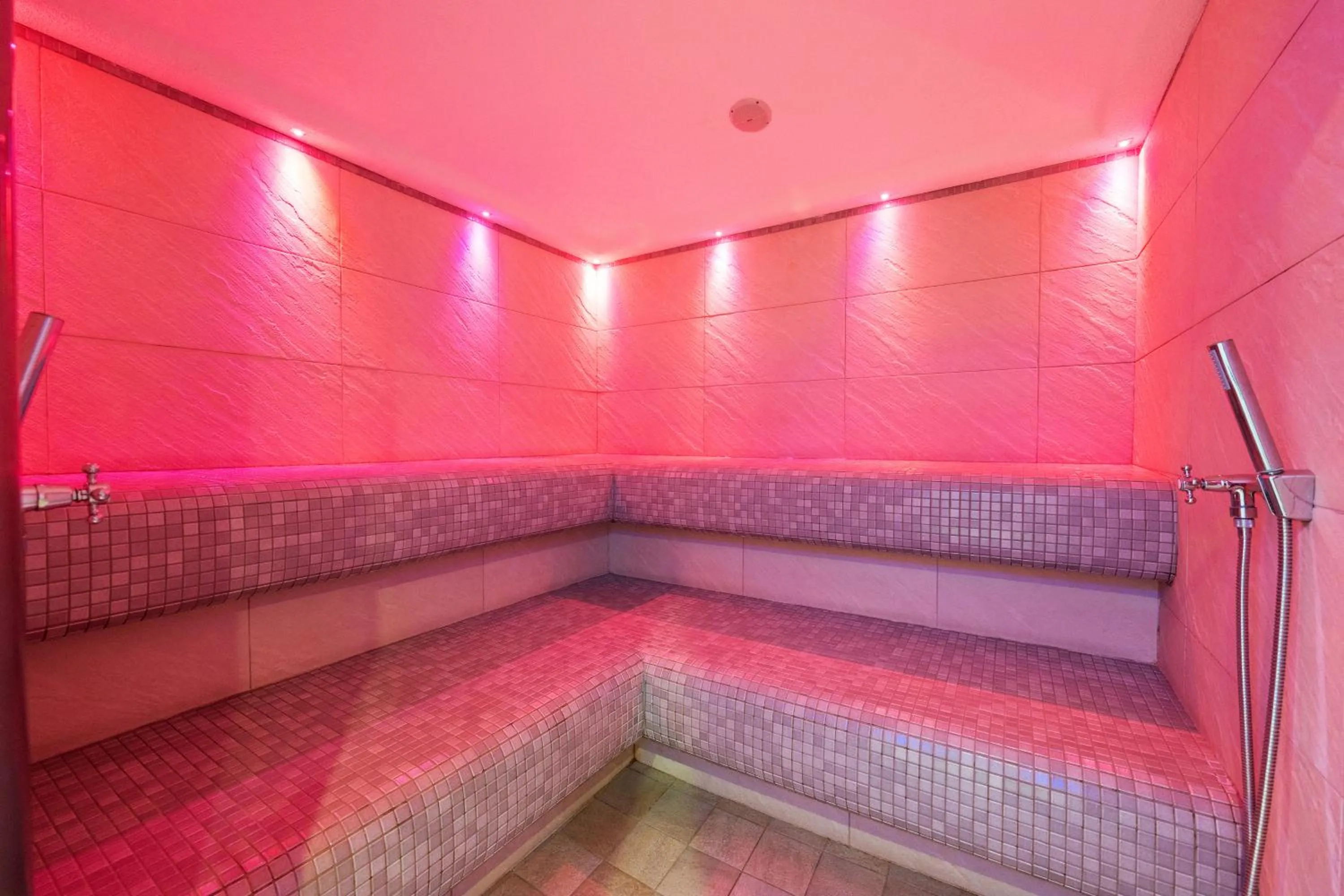 Spa and wellness centre/facilities in Residence Lagorai