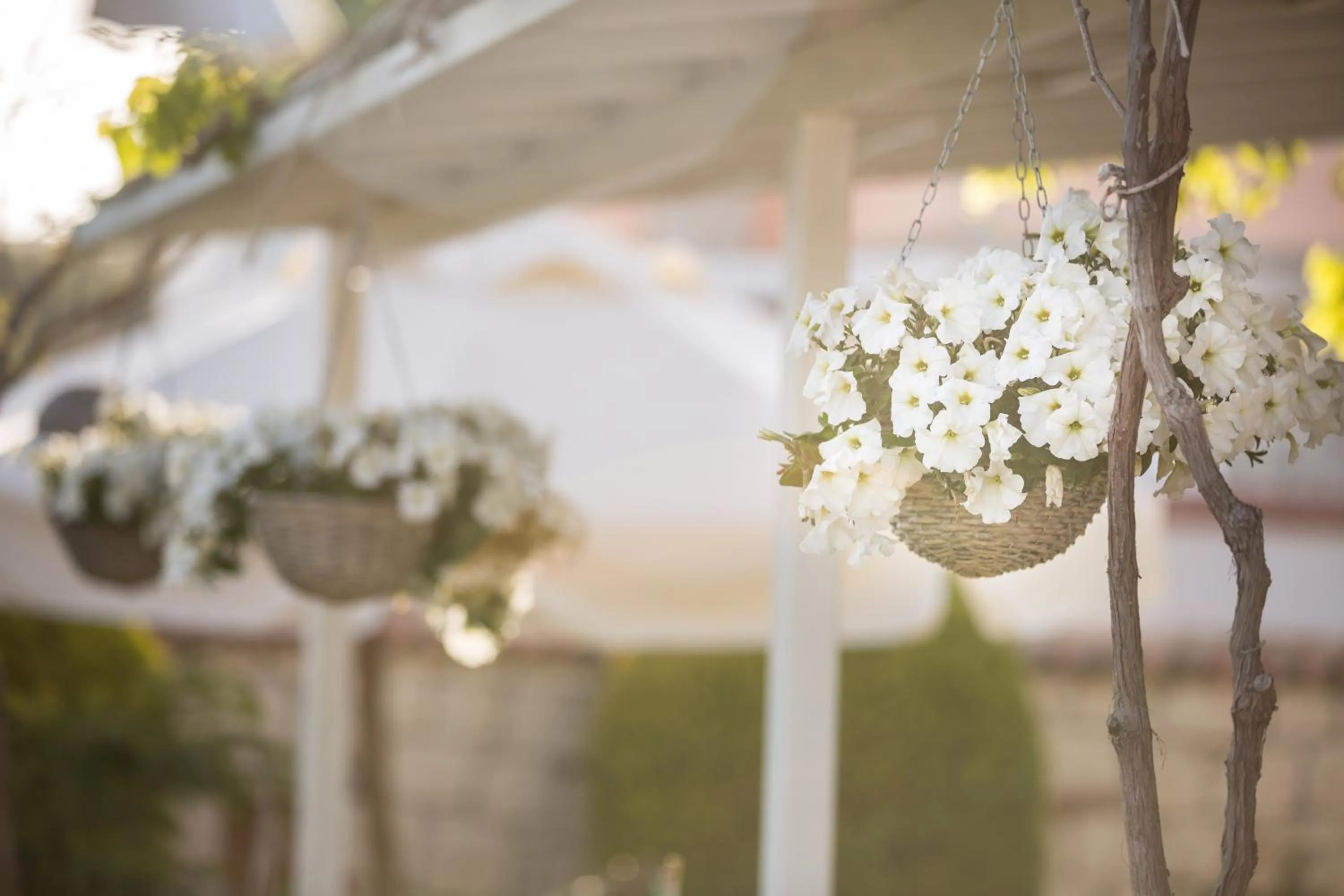 Garden in Deniz Kabugu Hotel