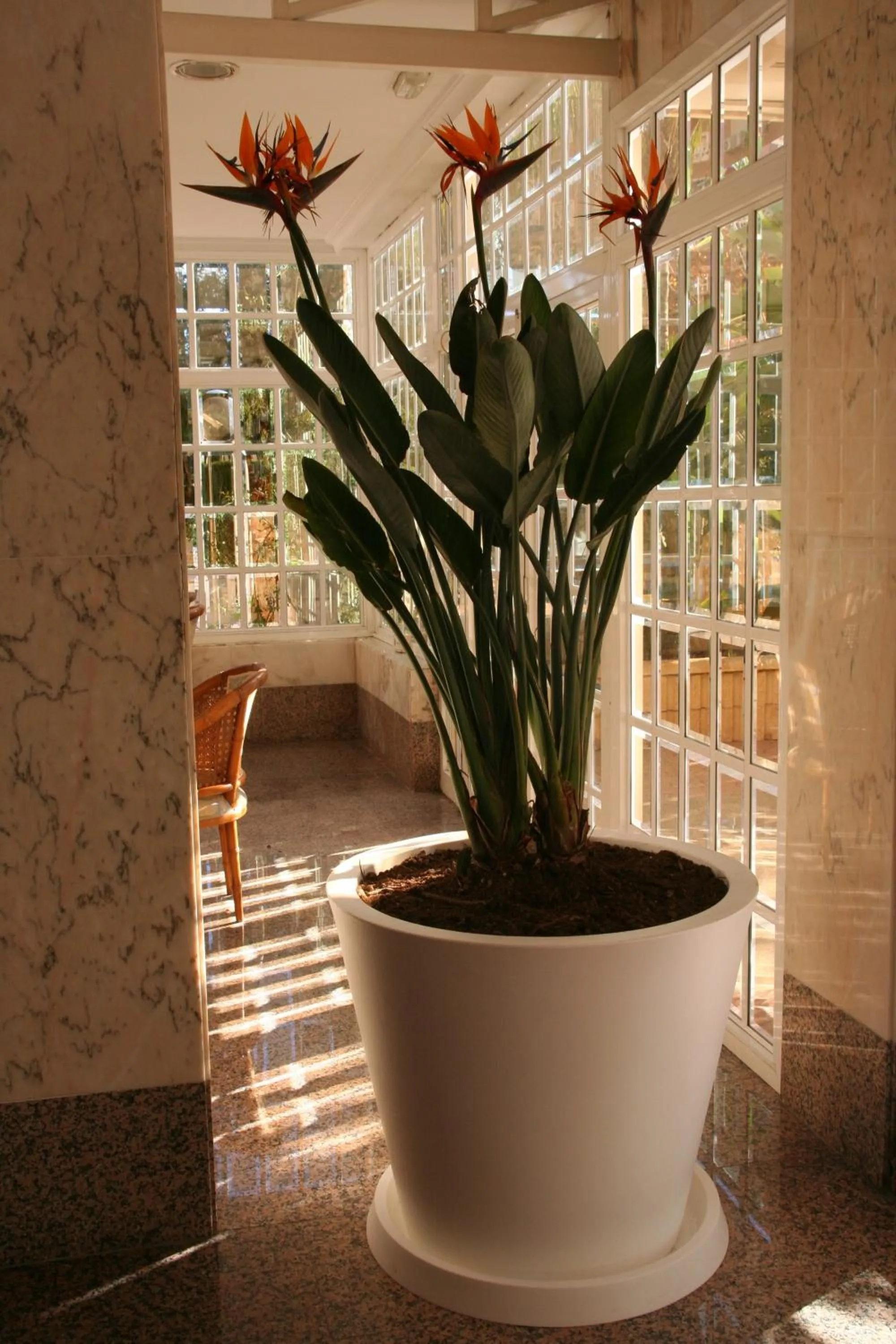 Lobby or reception in Apartamentos Maria Victoria