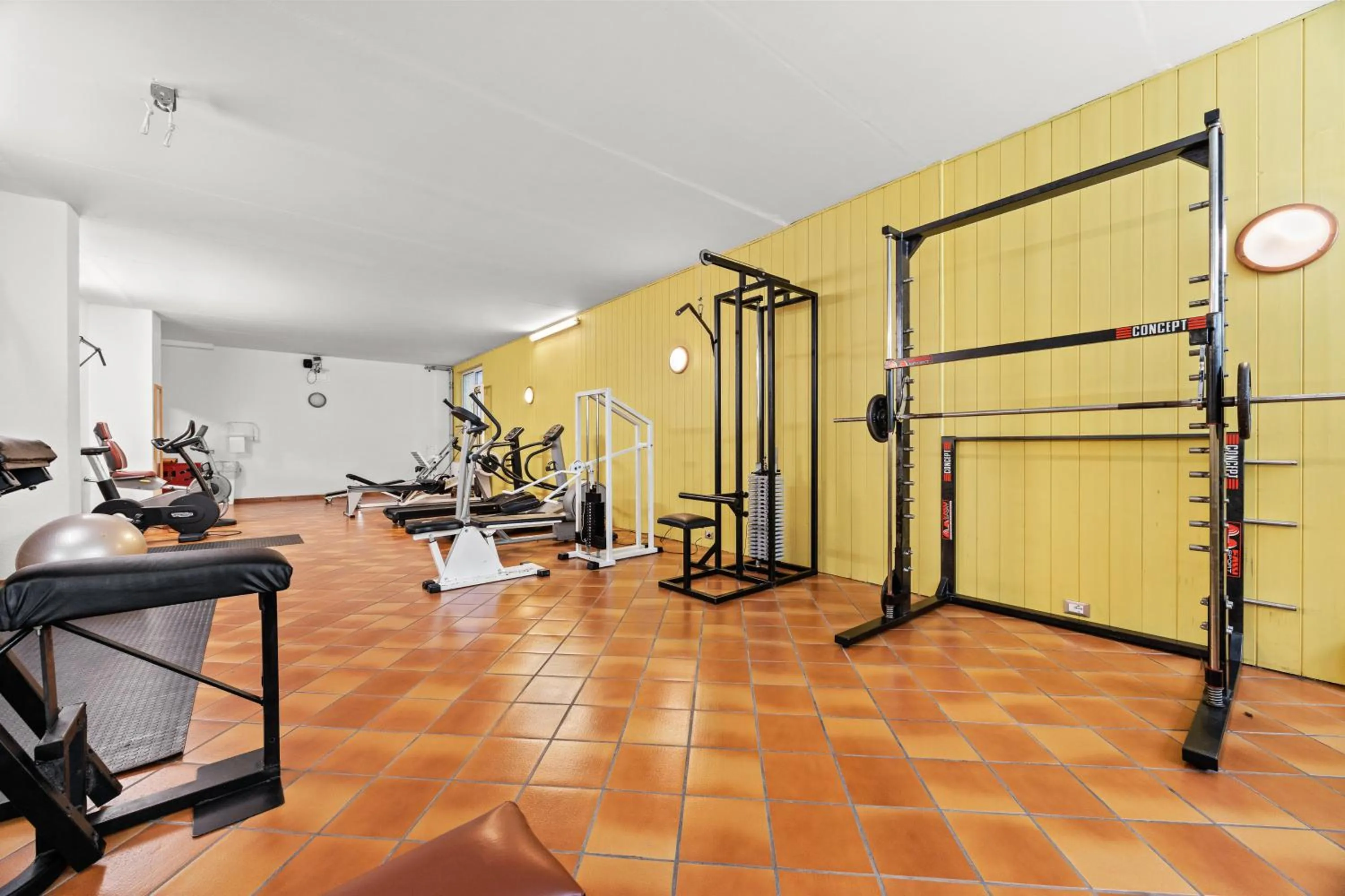 Fitness centre/facilities in Aparthotel Des Alpes