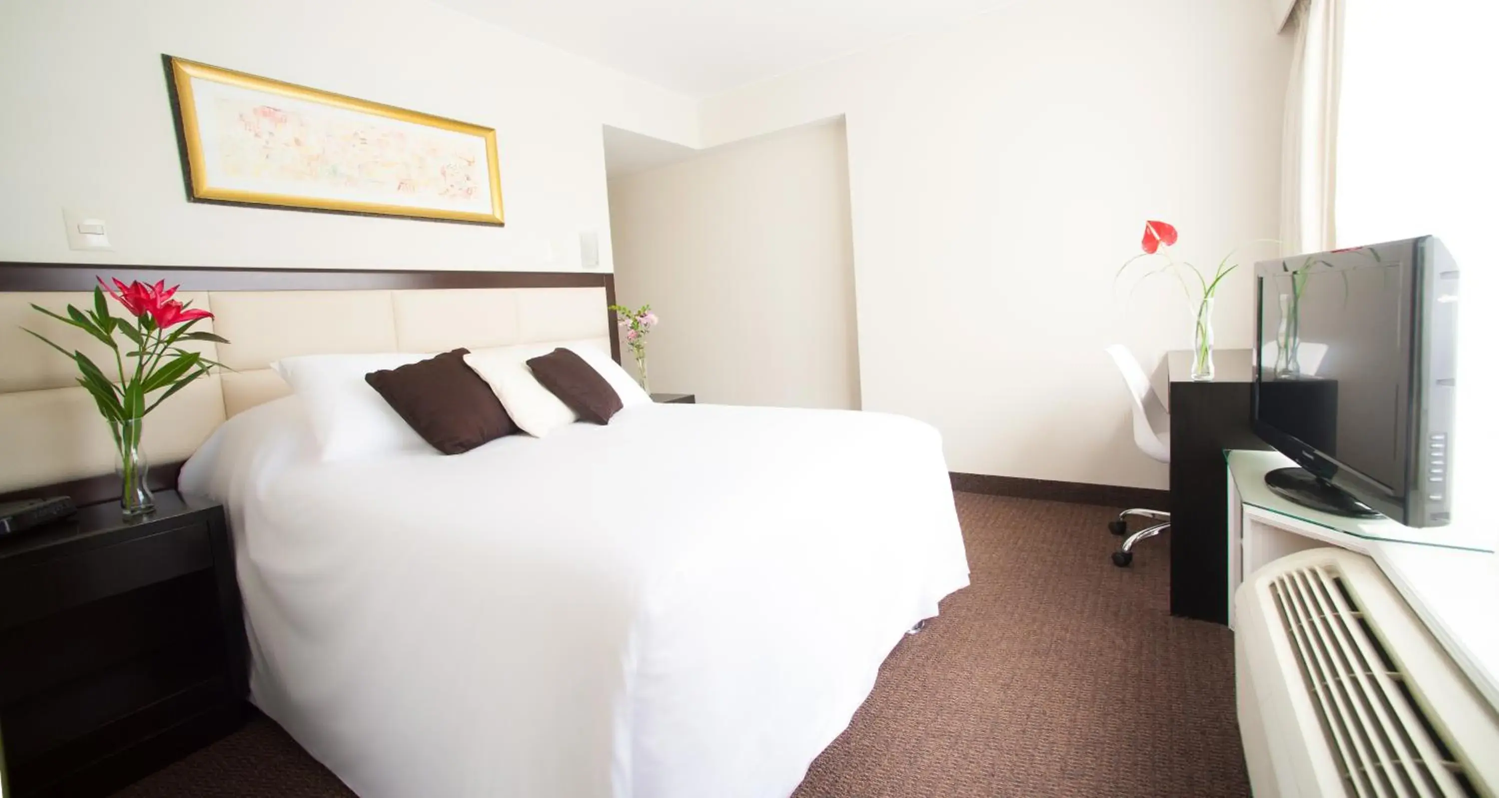 Single Room in Roosevelt Hotel & Suites Single Room in Roosevelt Hotel & Suites