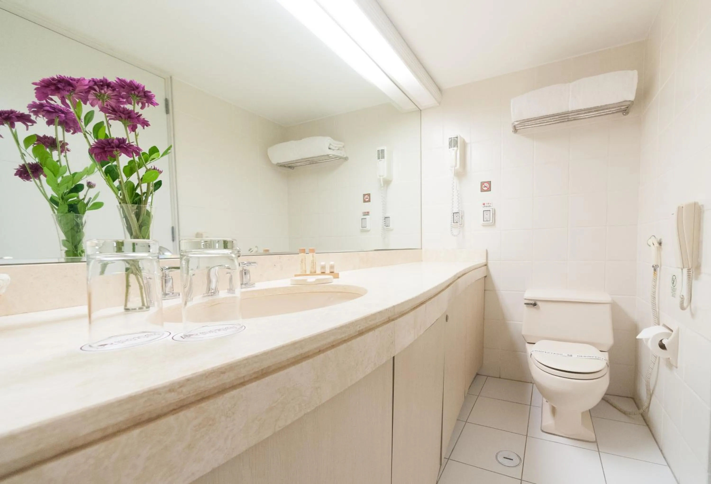 Roosevelt Hotel & Suites