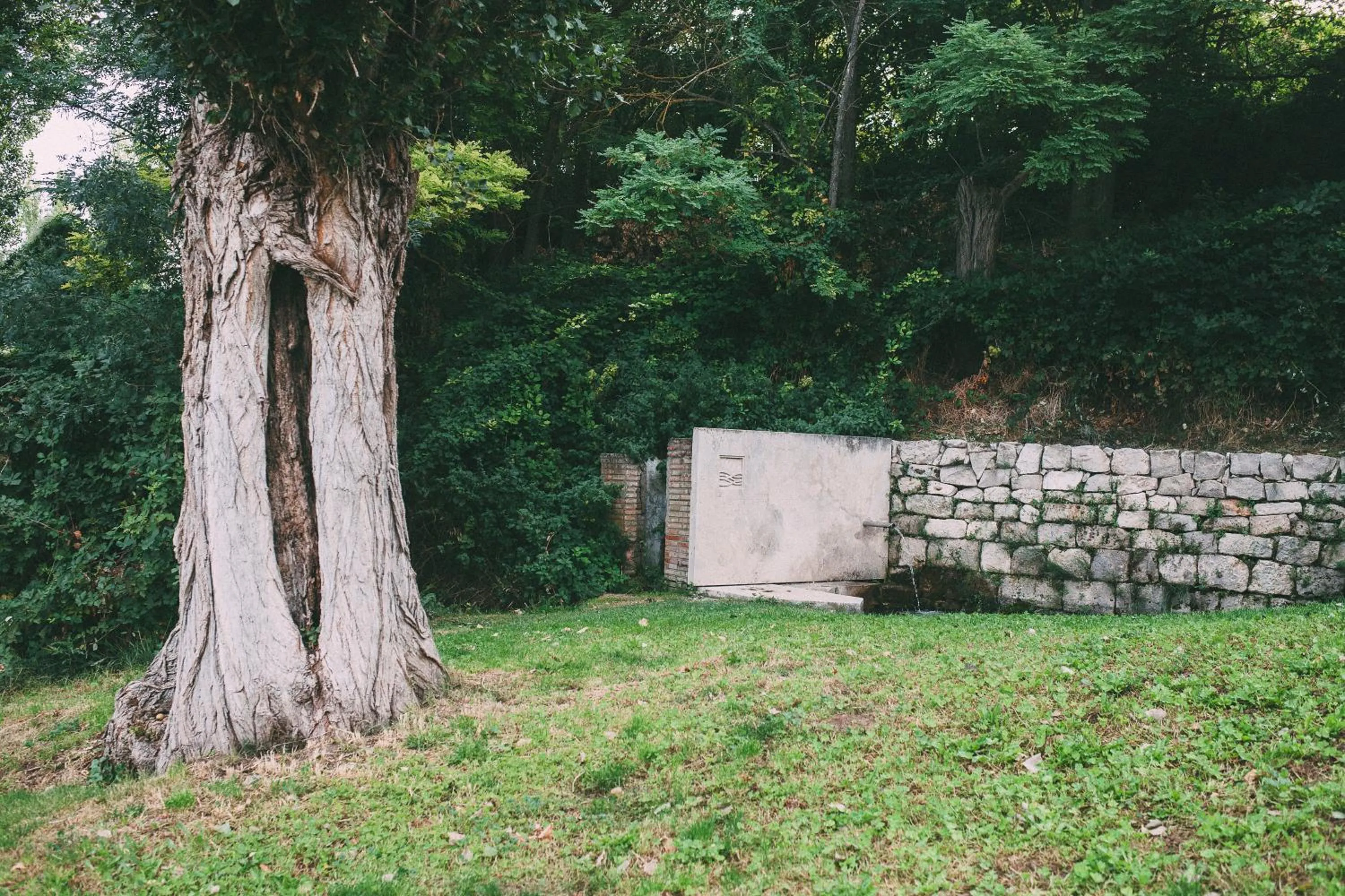 Patio in Fuente Aceña Hotel Boutique