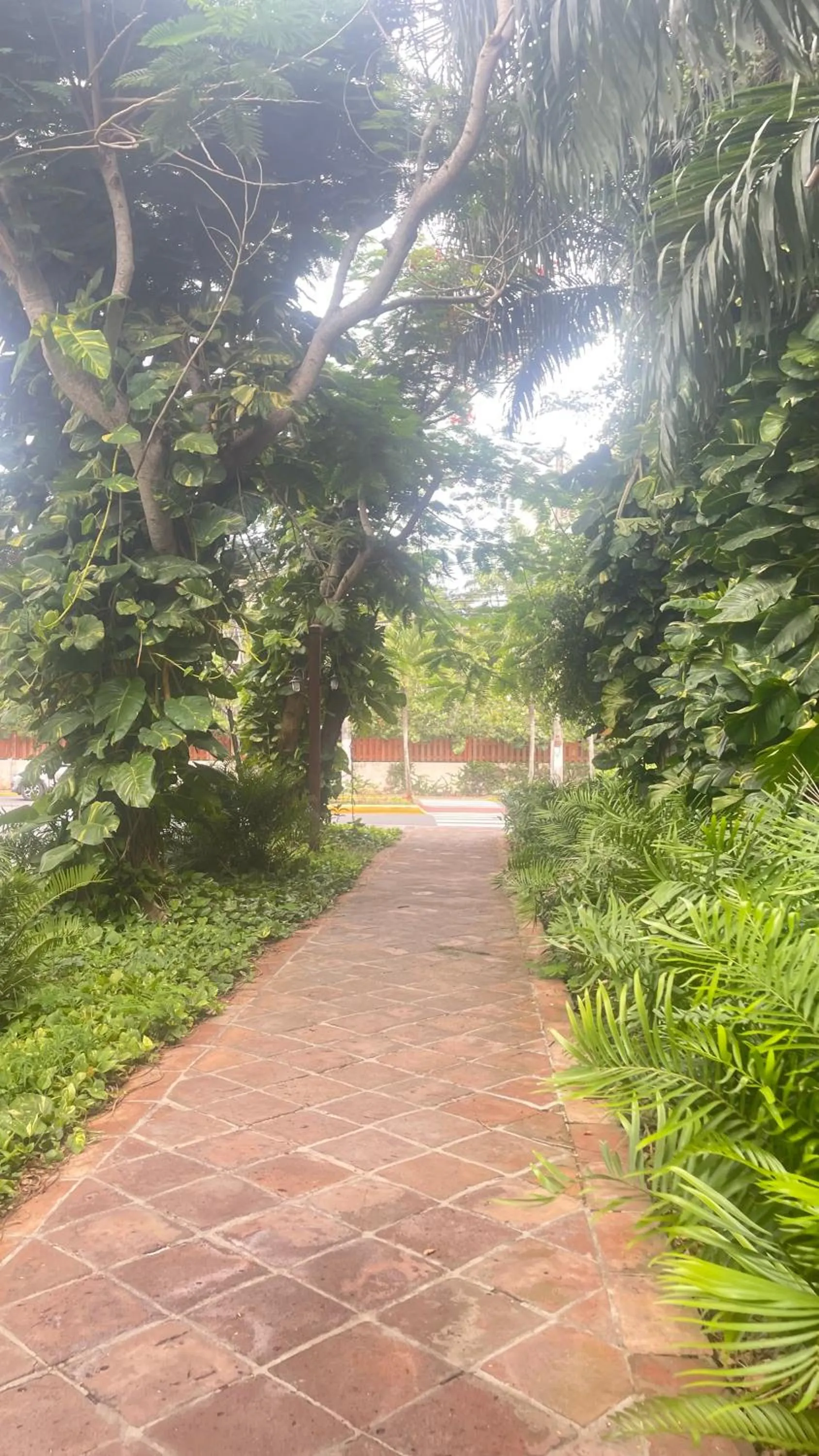 Bellomar I Exclusive Juan Dolio Playa Hemingway