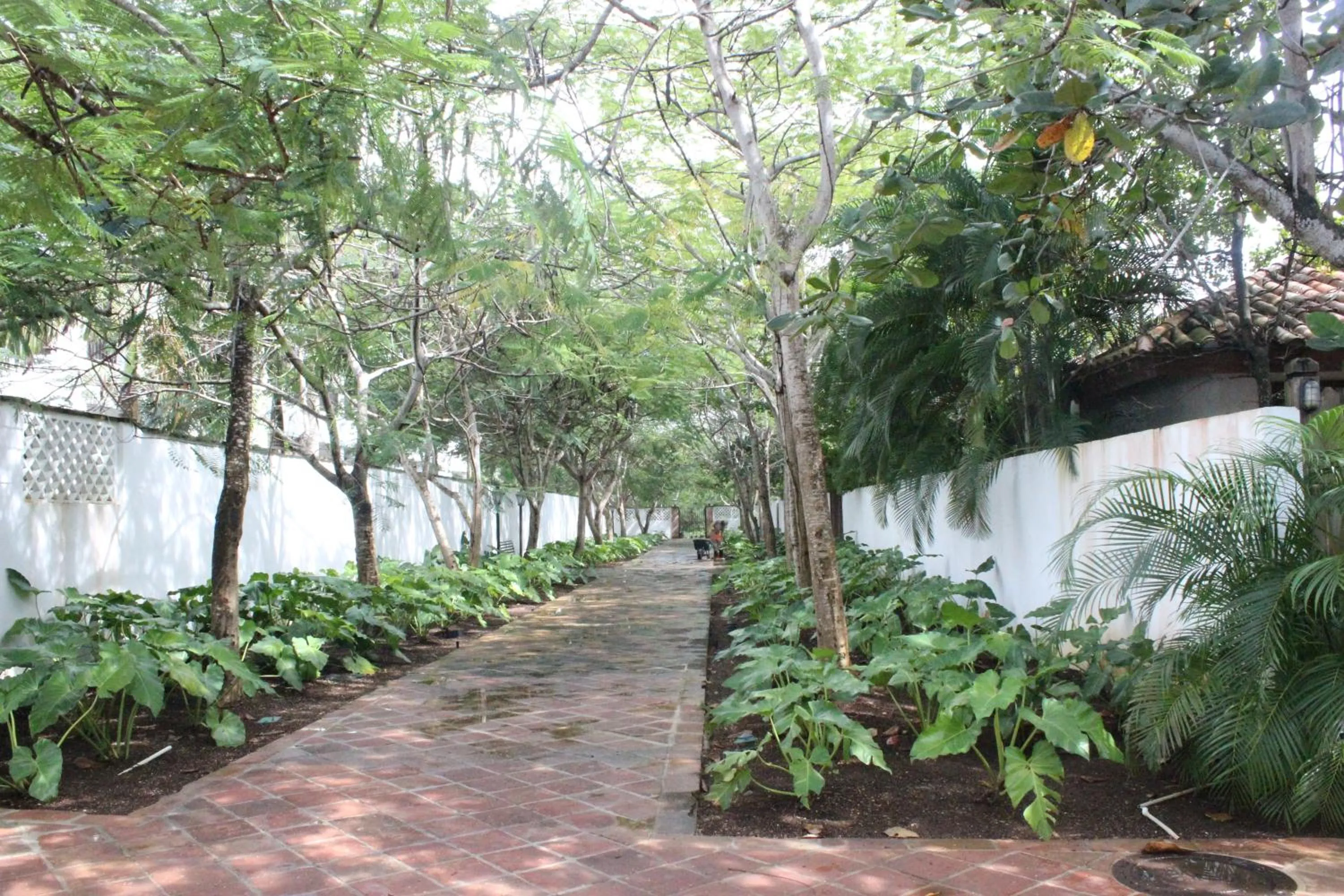 Bellomar I Exclusive Juan Dolio Playa Hemingway