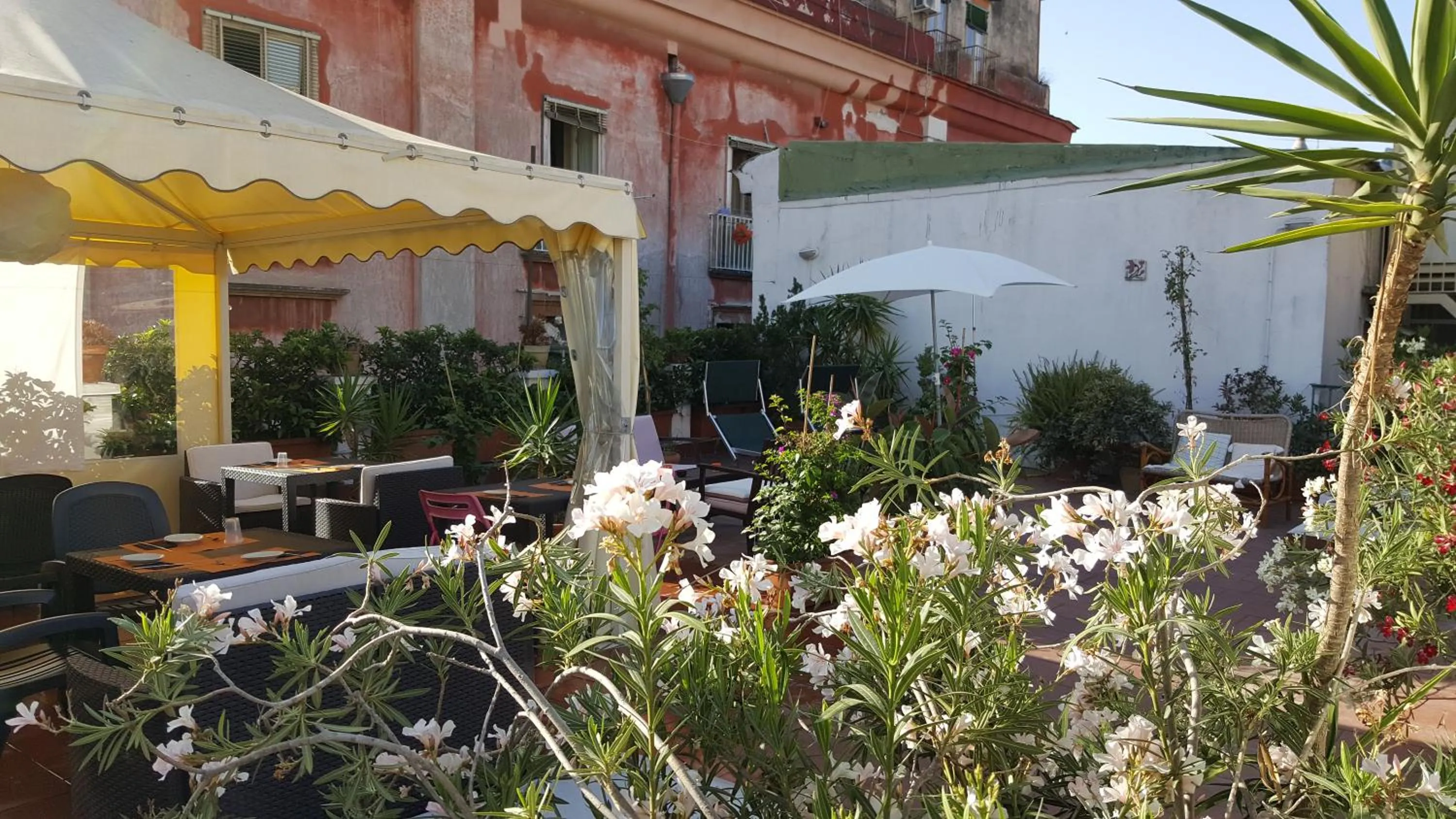 Garden in B&B Soriano44