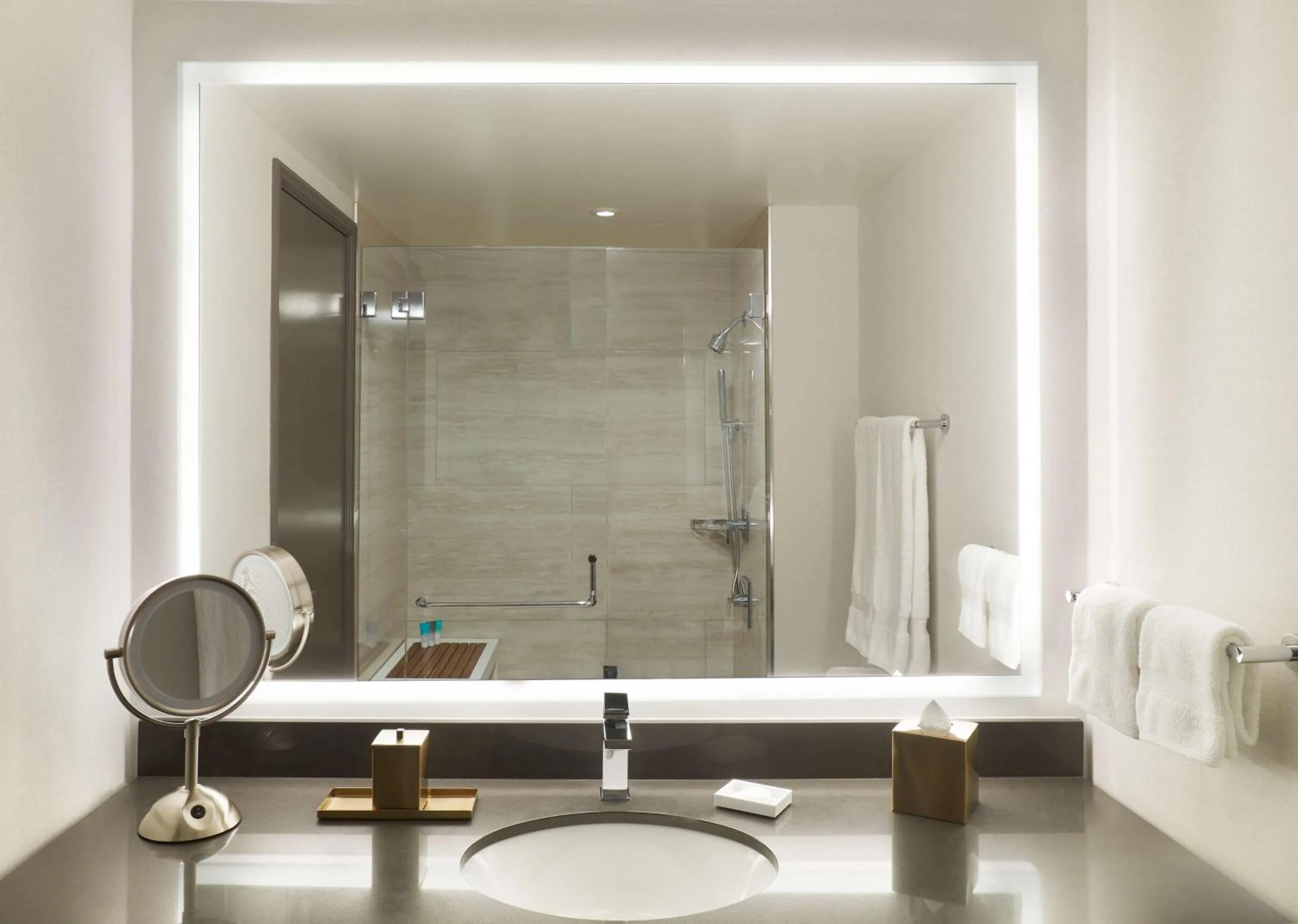 Bathroom in Hyatt Regency Bellevue