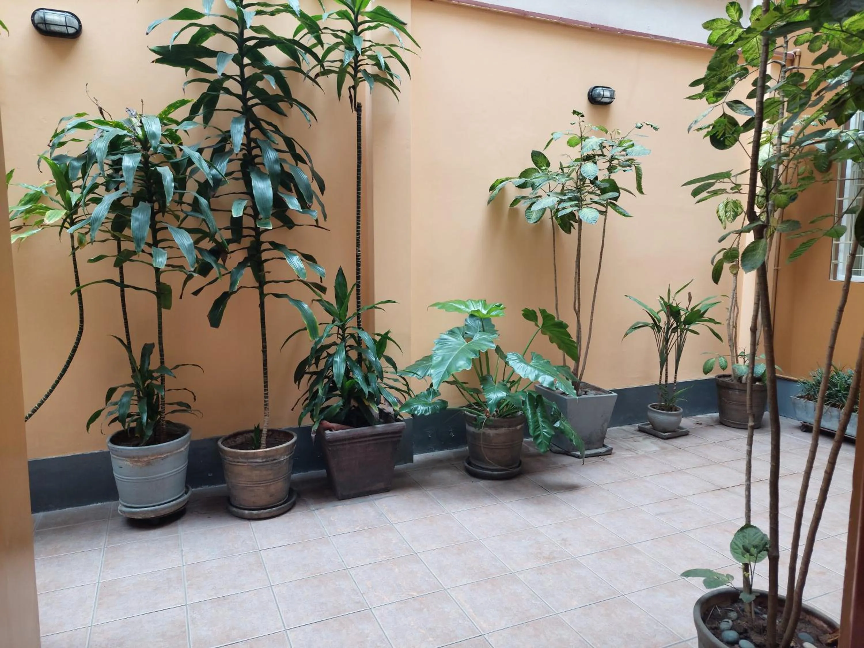 Garden in Lima Wasi Hotel Miraflores