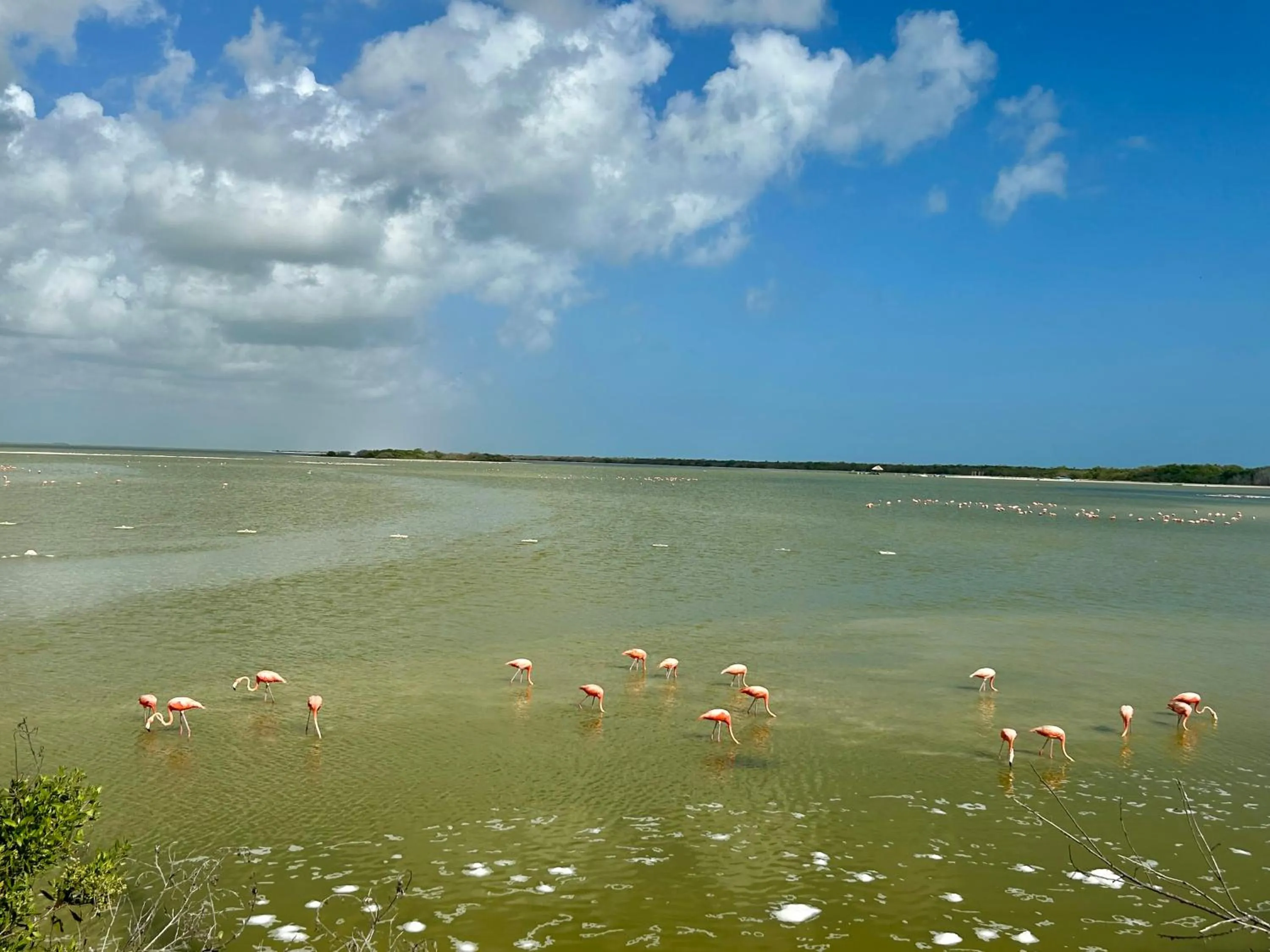Natural landscape in Hotel La Casa Cielo solo adultos