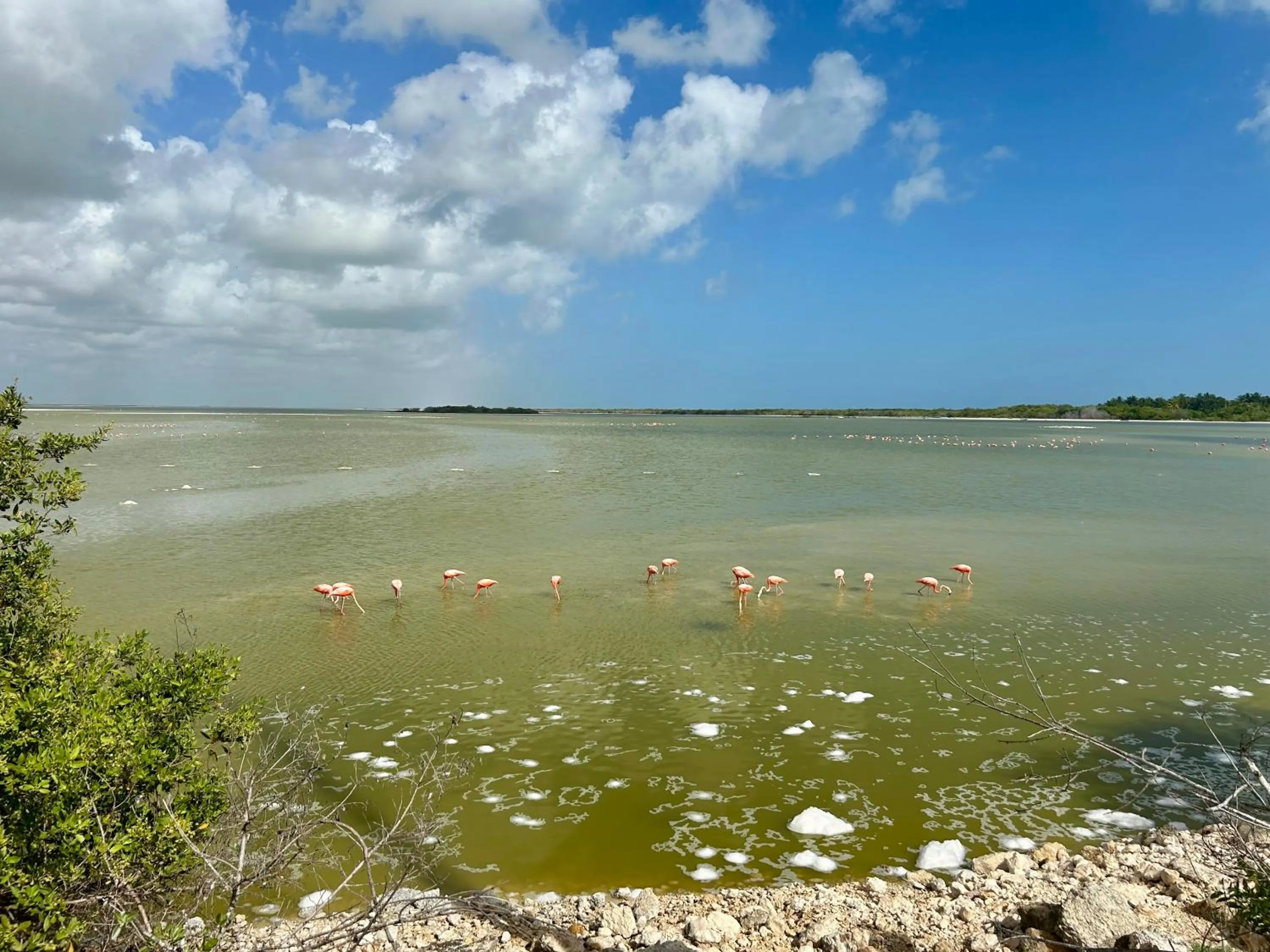 Natural landscape in Hotel La Casa Cielo solo adultos