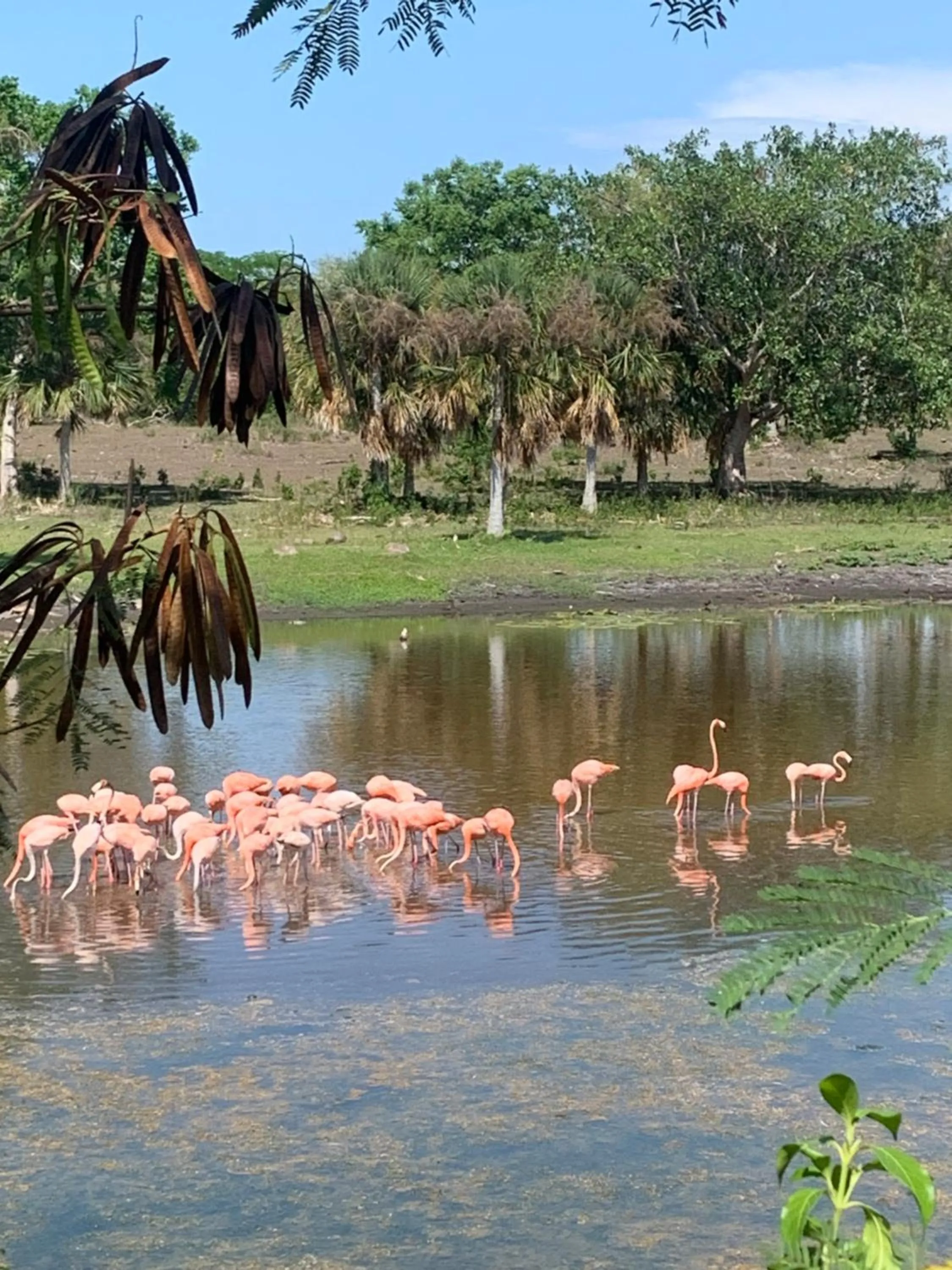 Natural landscape in Hotel La Casa Cielo solo adultos