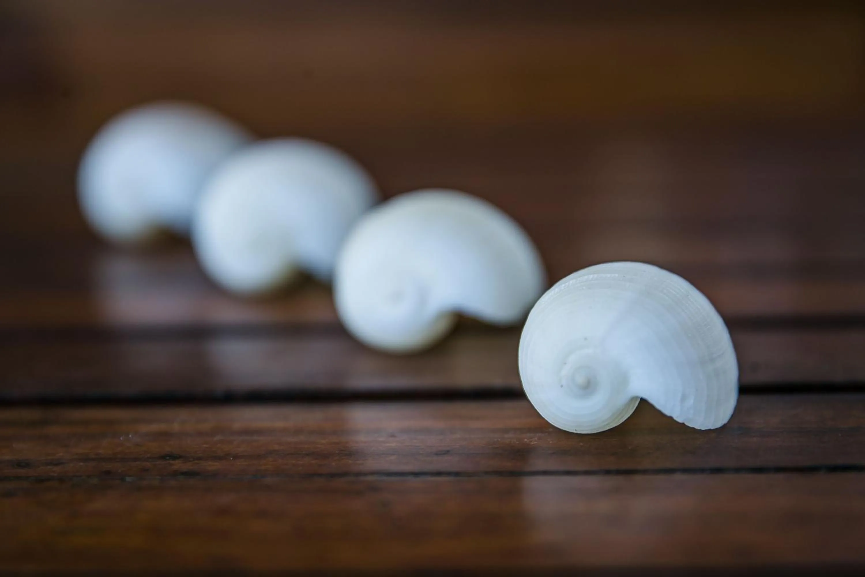 Massage in Hotel La Casa Cielo solo adultos