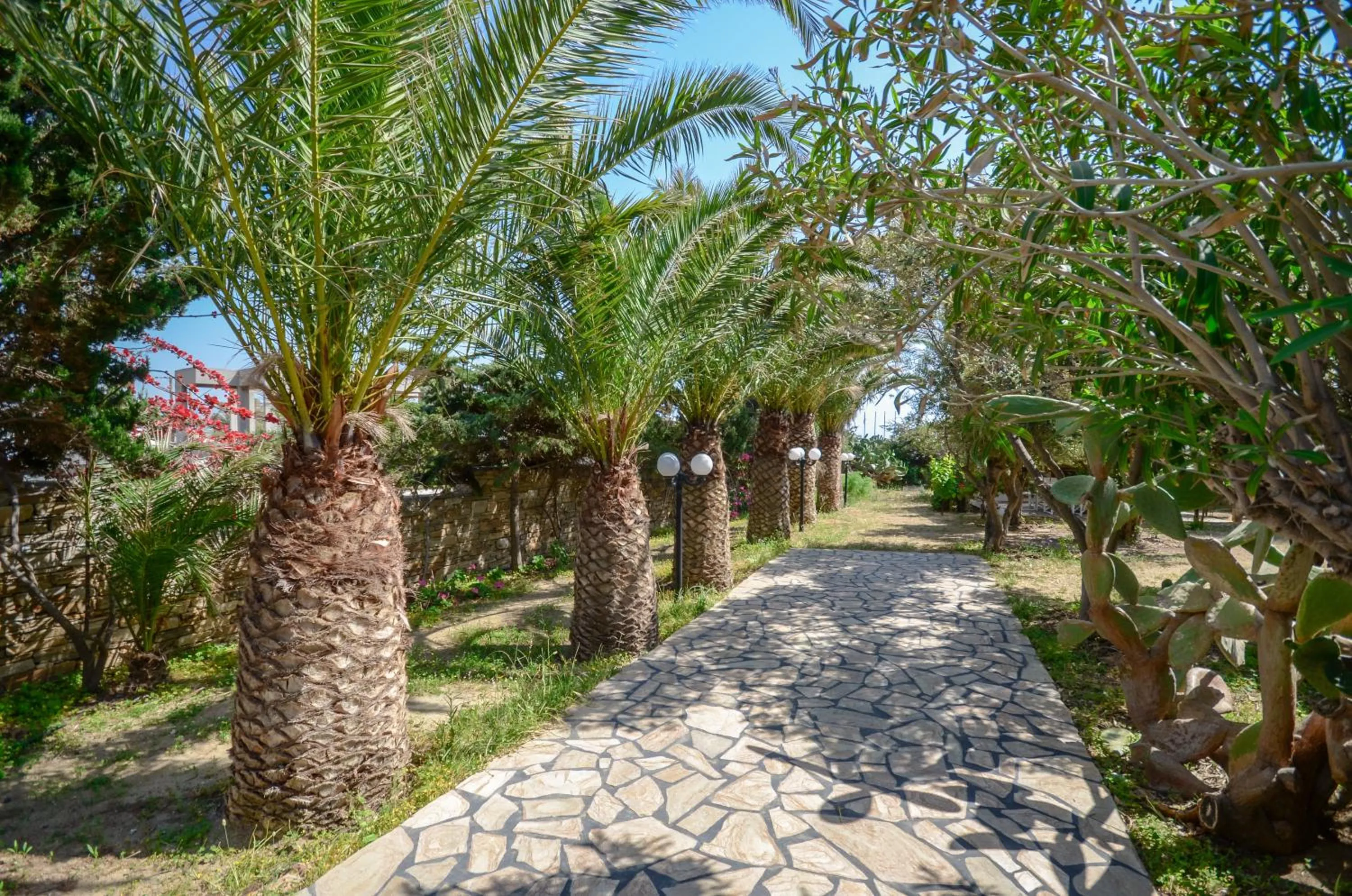 Garden in Villa Pari Manda