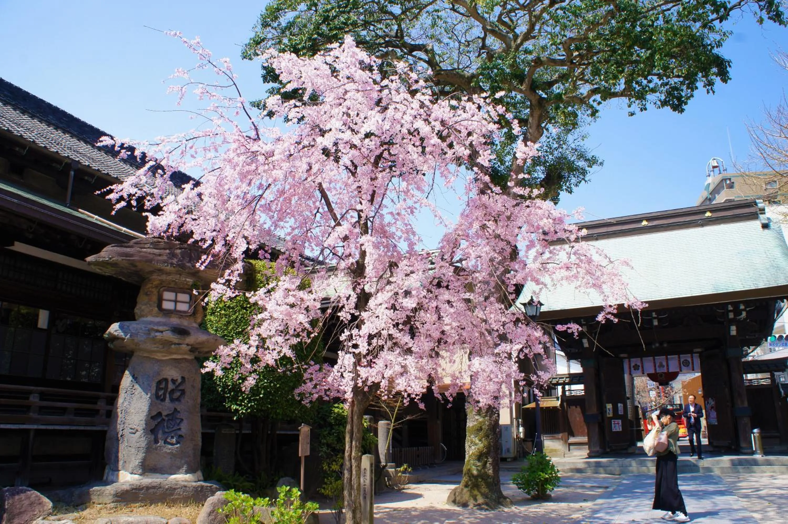 Nearby landmark in WeBase Hakata Hostel