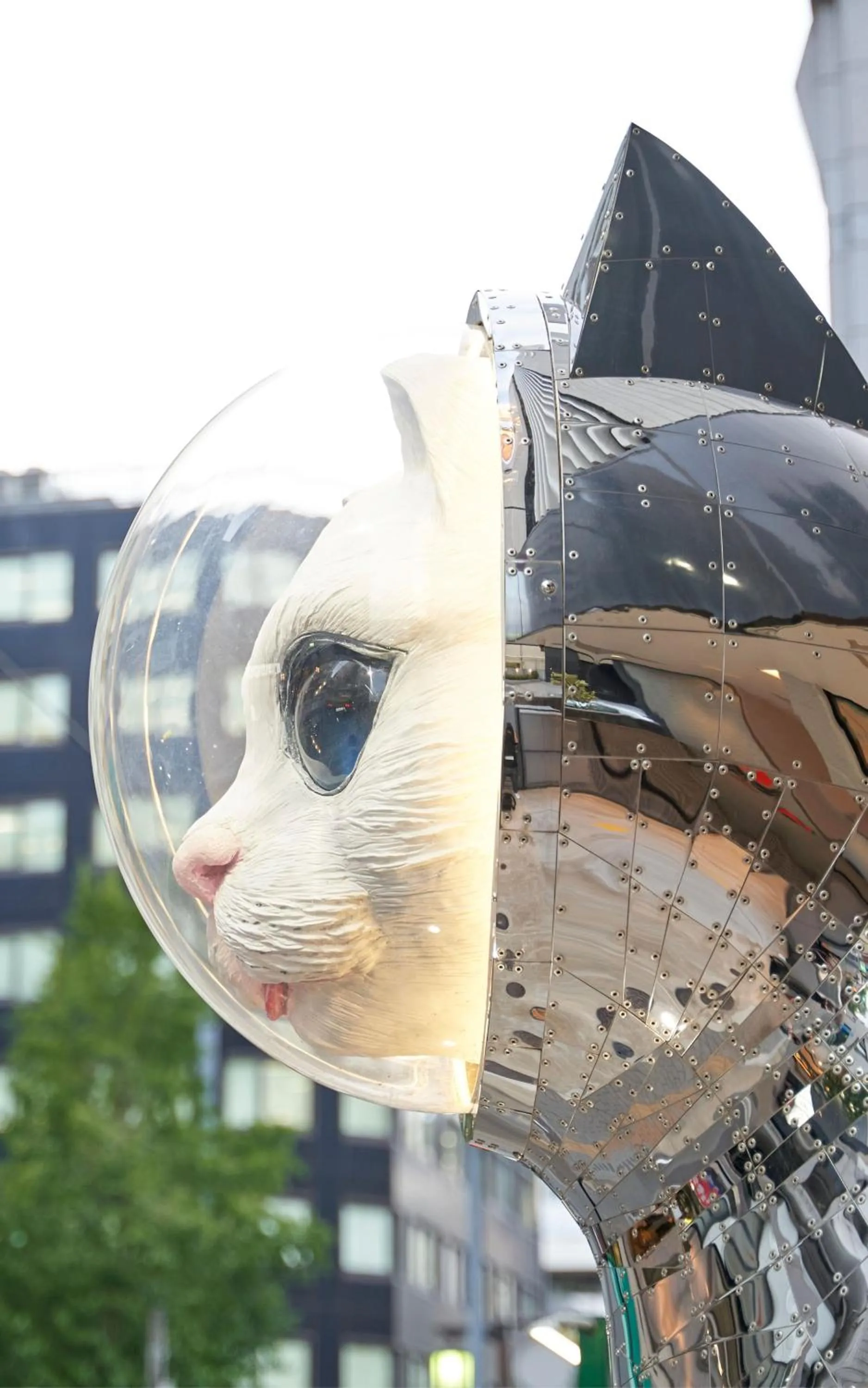 Pets in WeBase Hakata Hostel