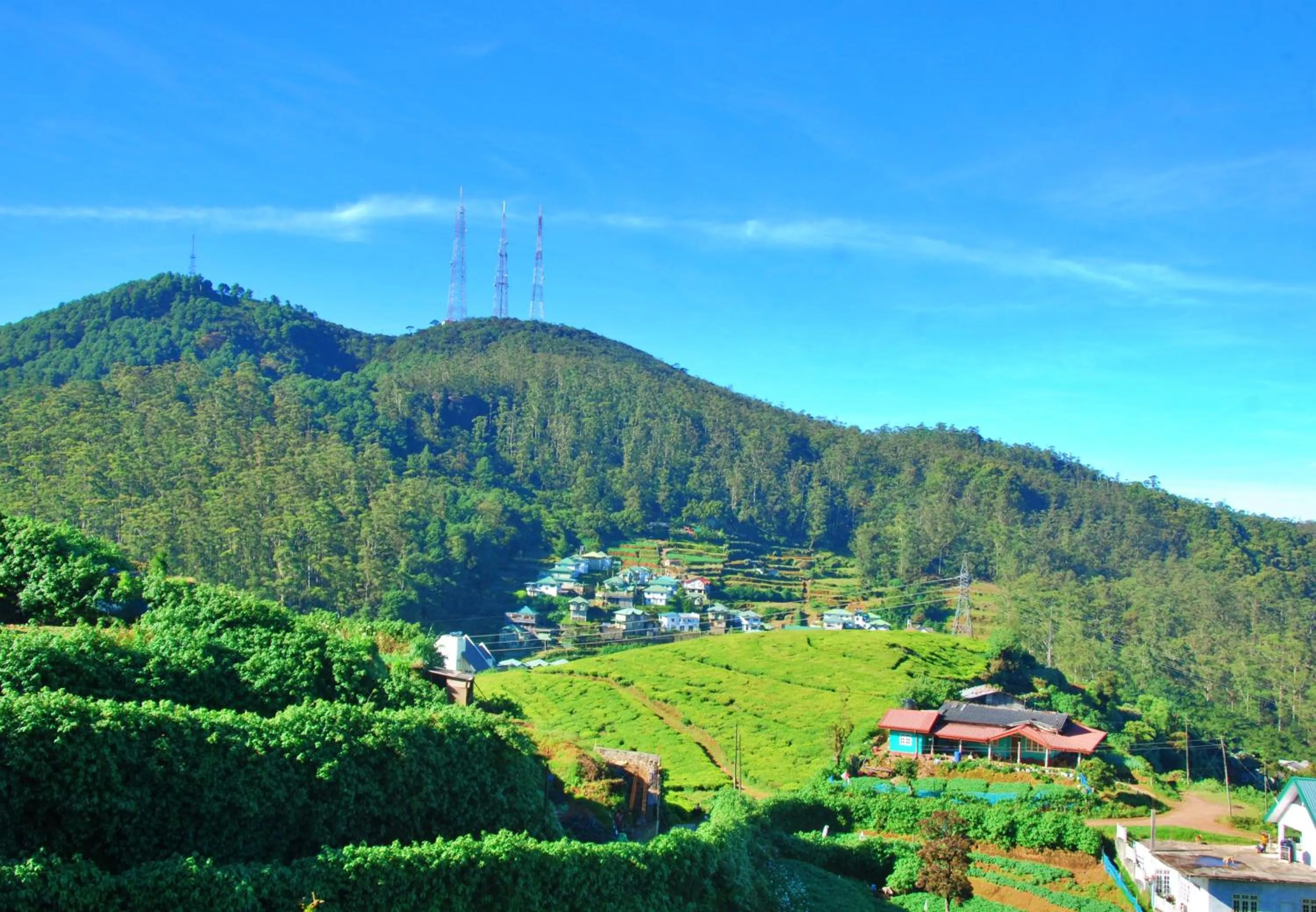Natural landscape in Cottage San Francesco
